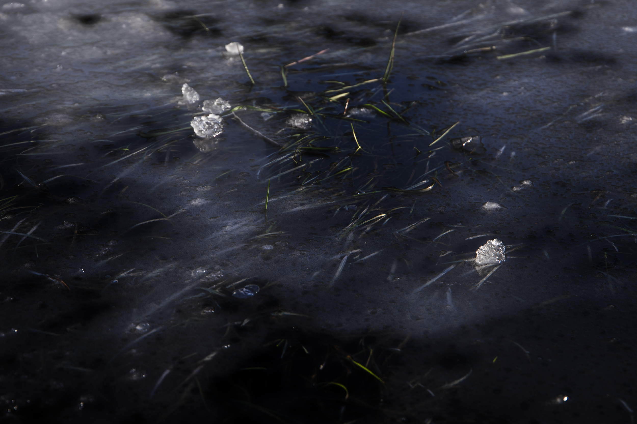 Blades Under Ice.png