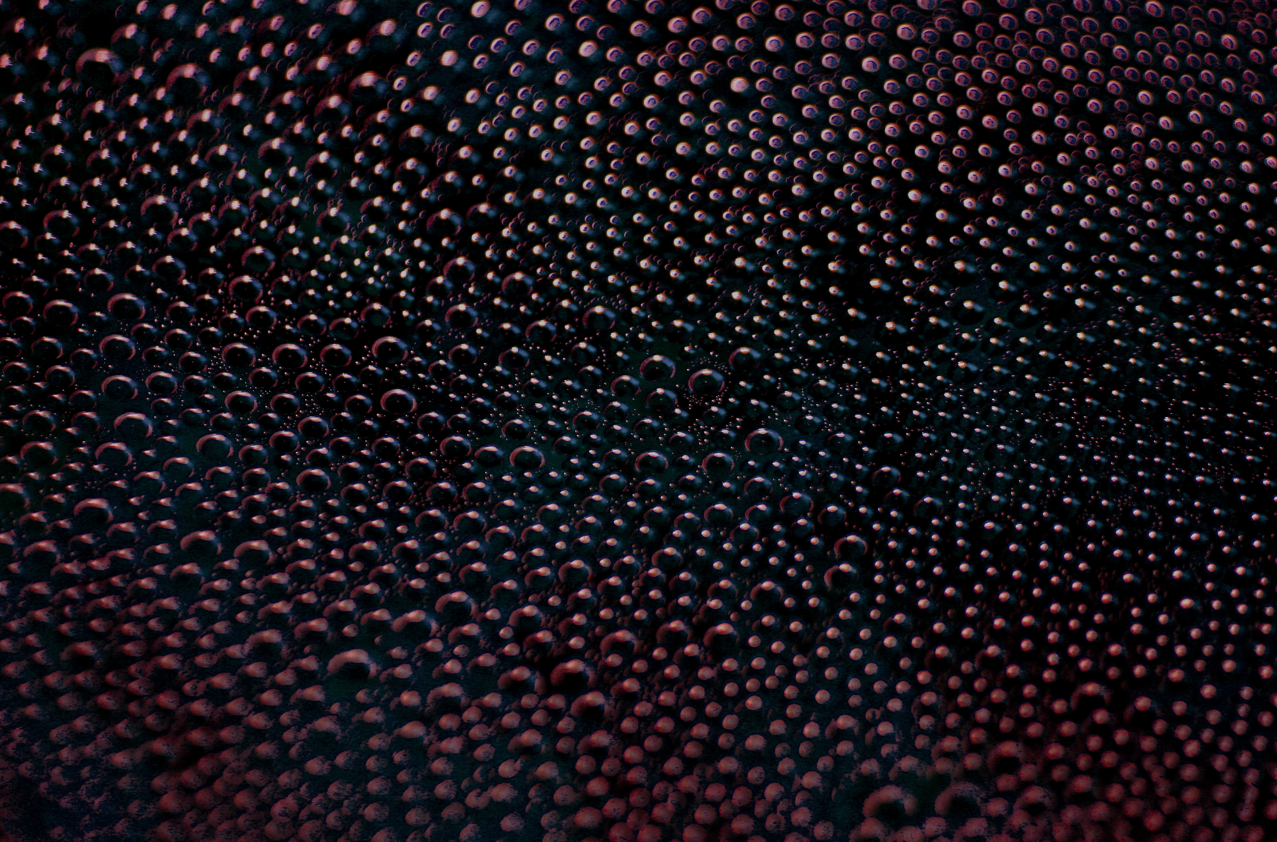 Optical Sea.png