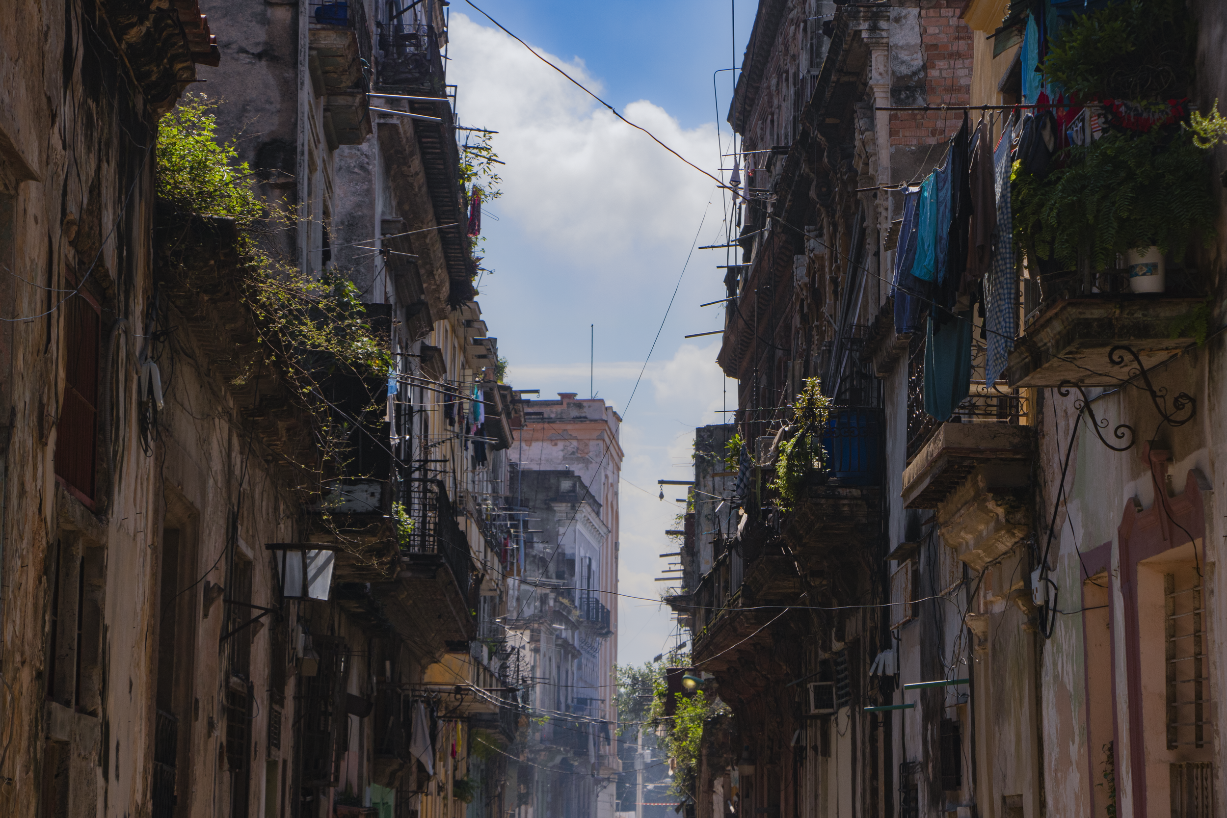 Havana Streets.png