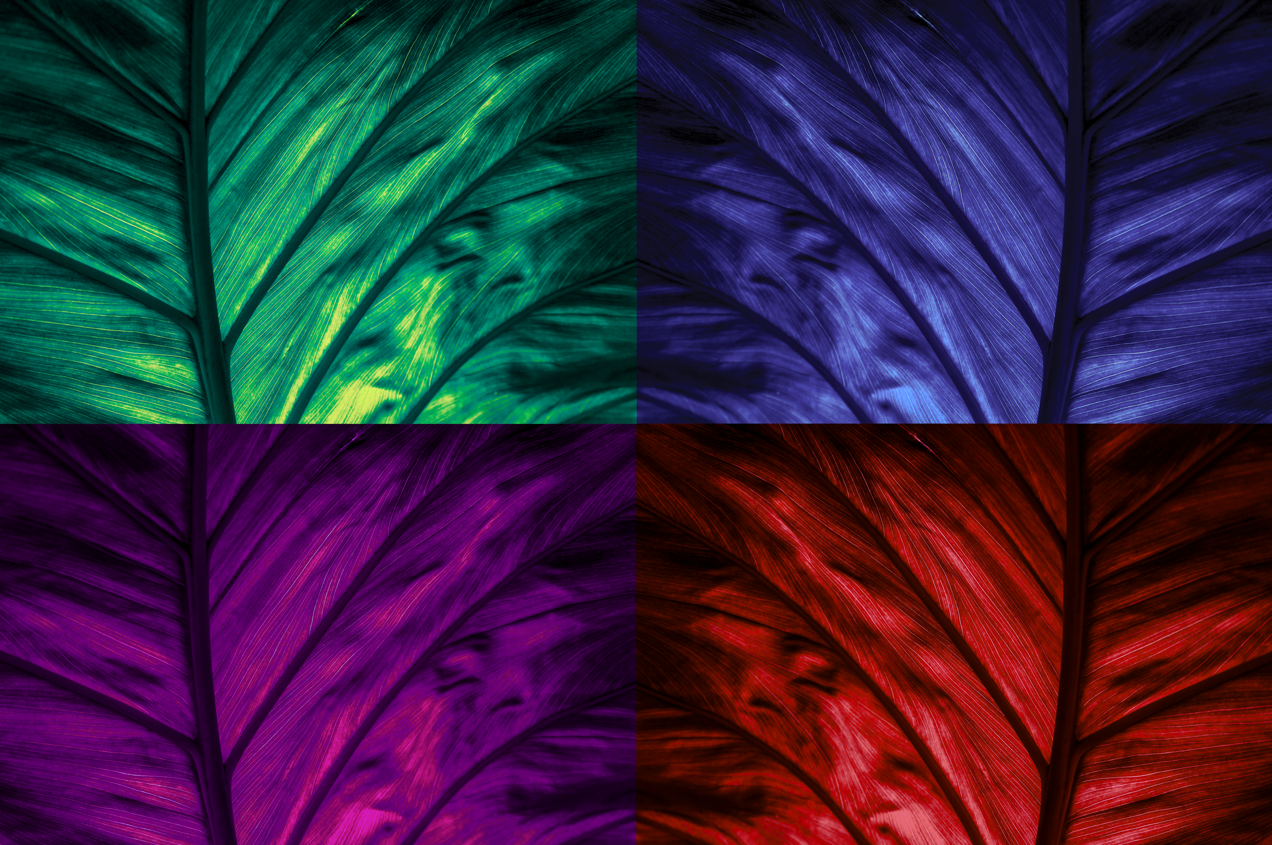 Systems.png