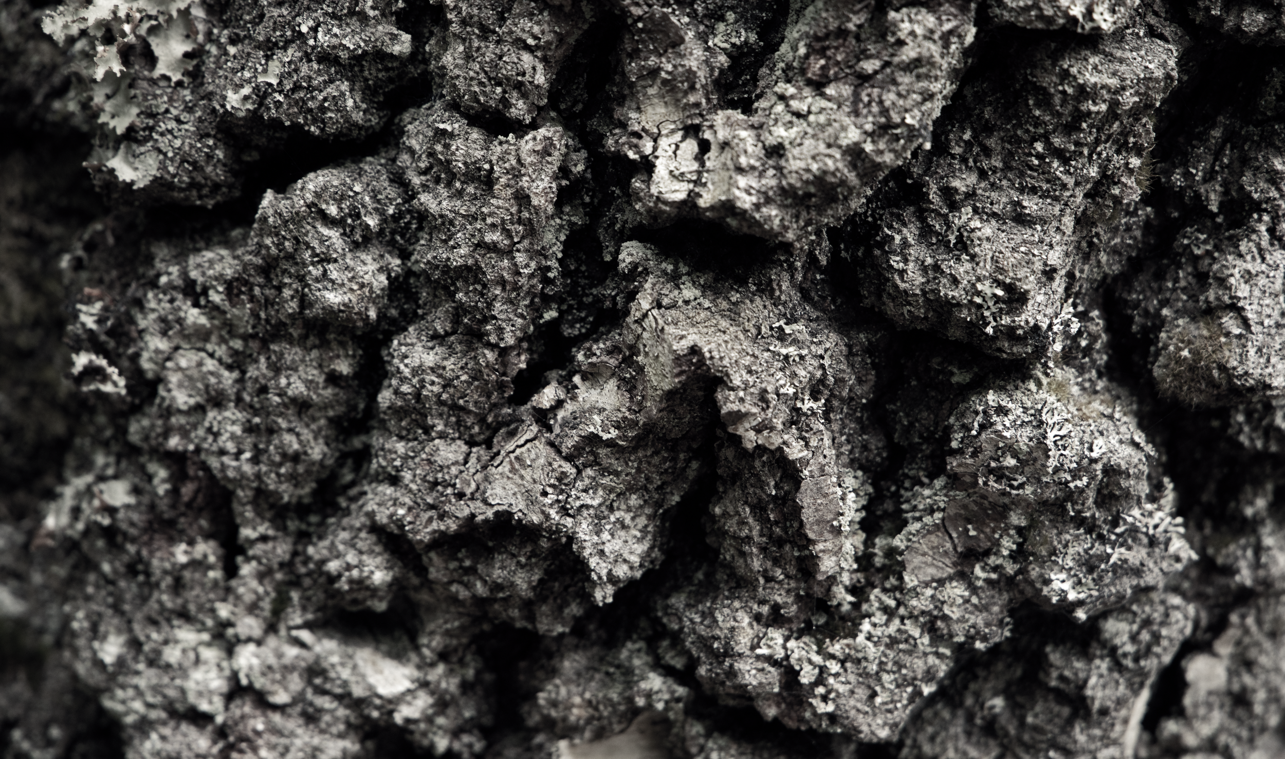 Textural.png