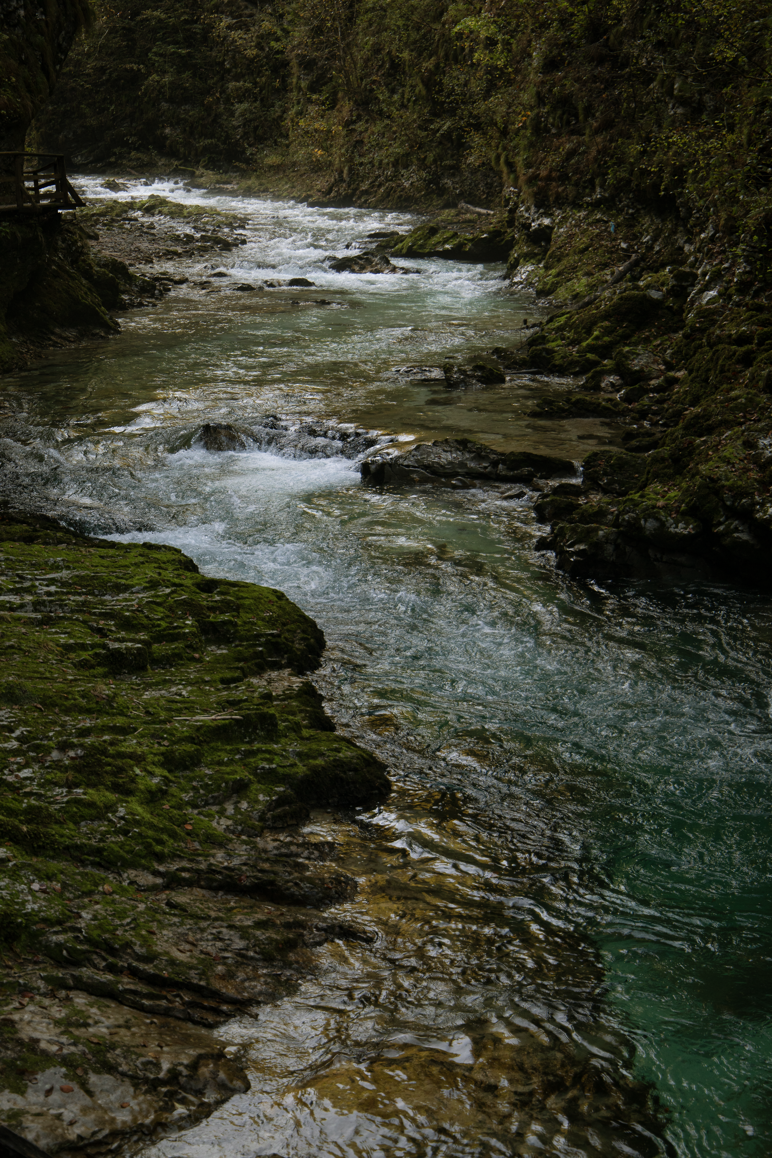 Radovna Valley.png