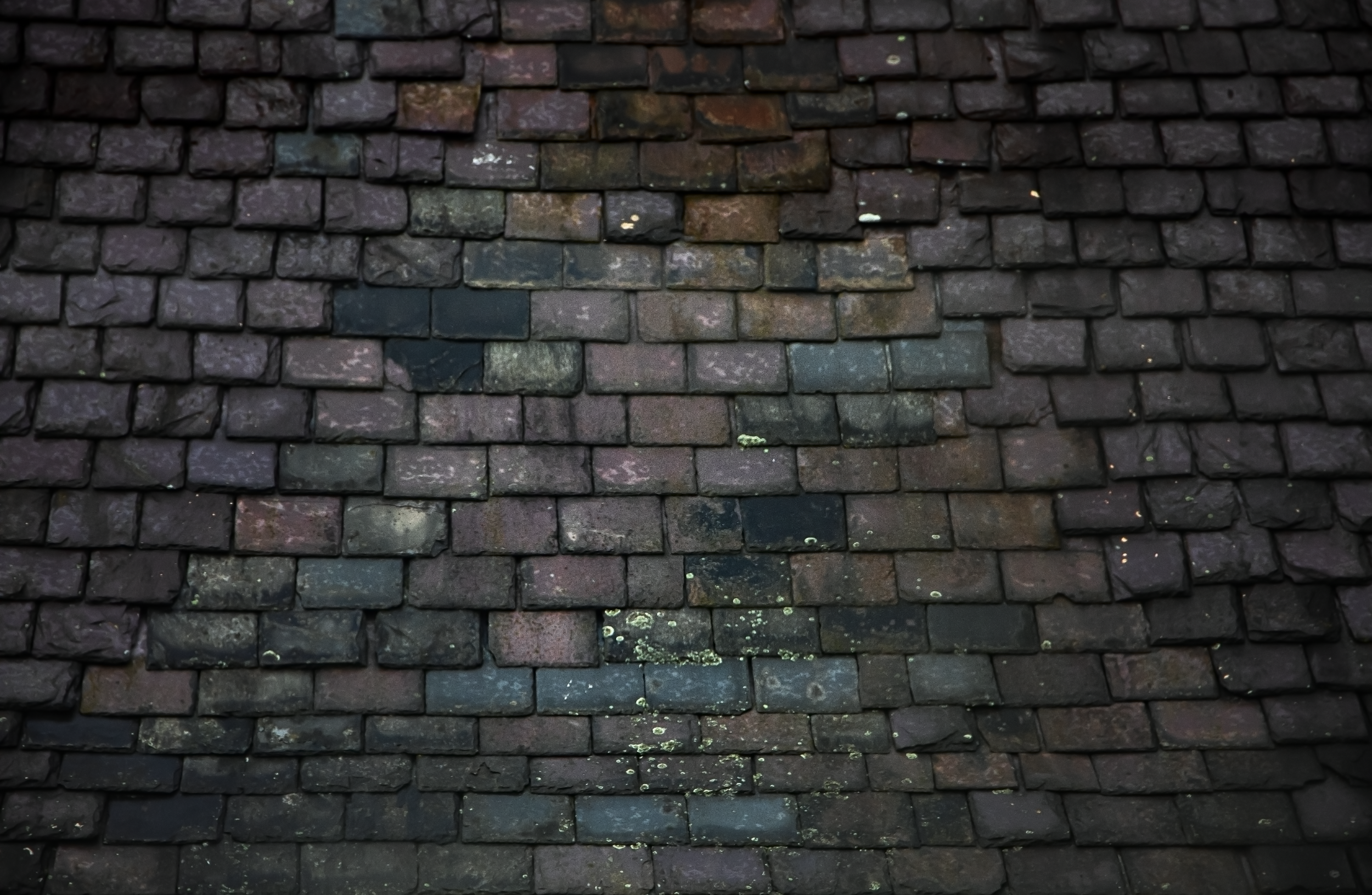 Rainbow Roof.png