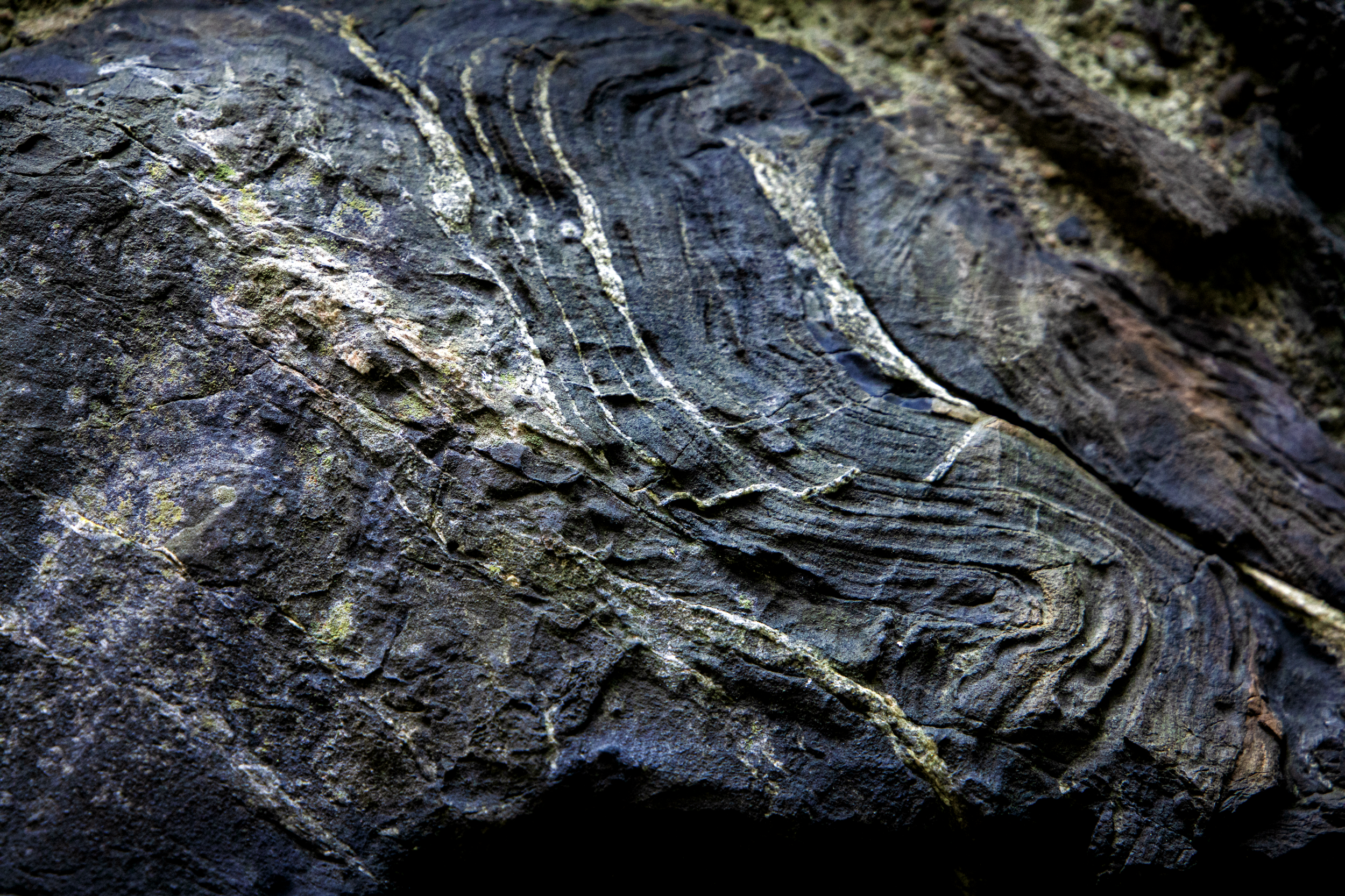 Lines Of My Earth.png