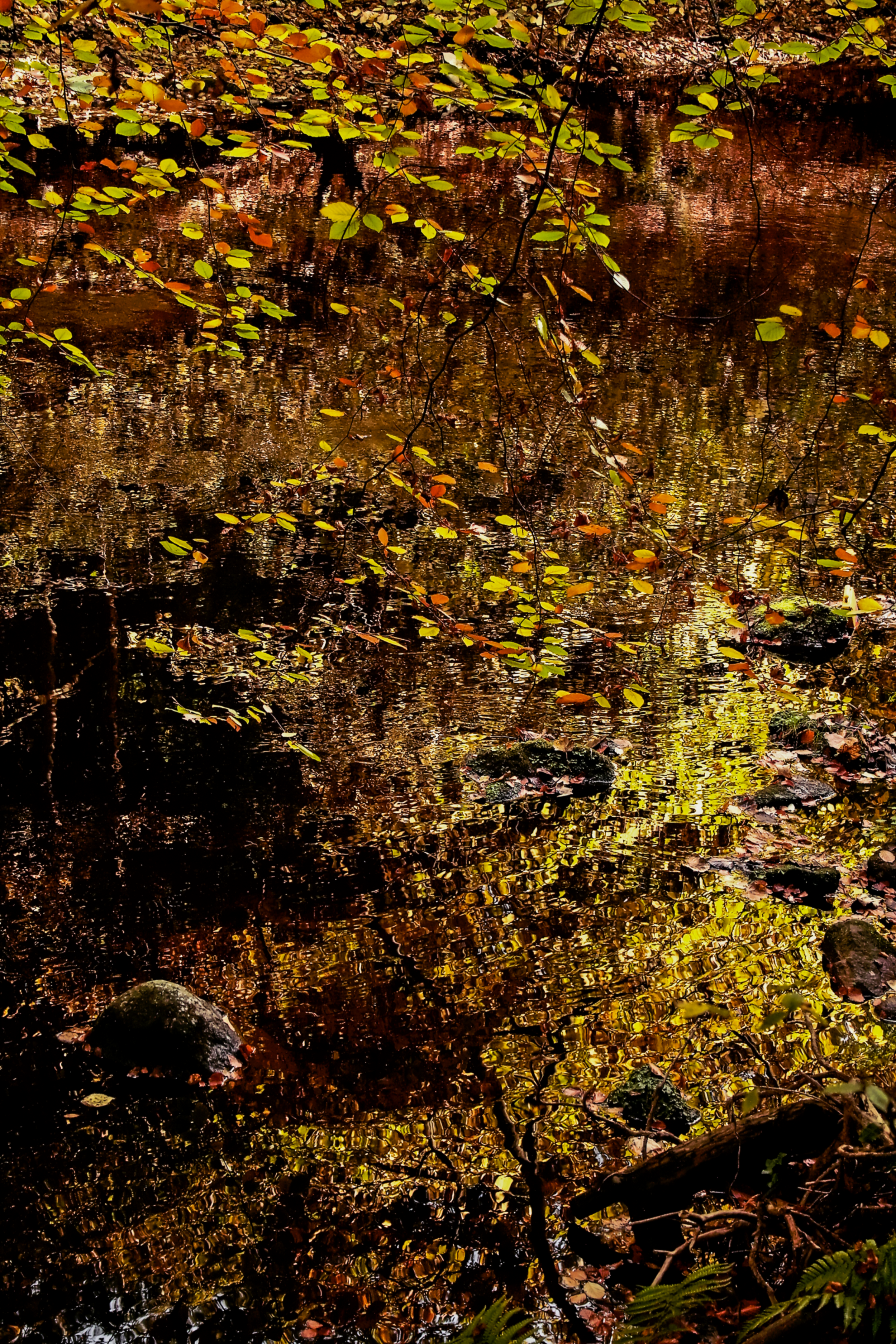 Autumn Painting.png
