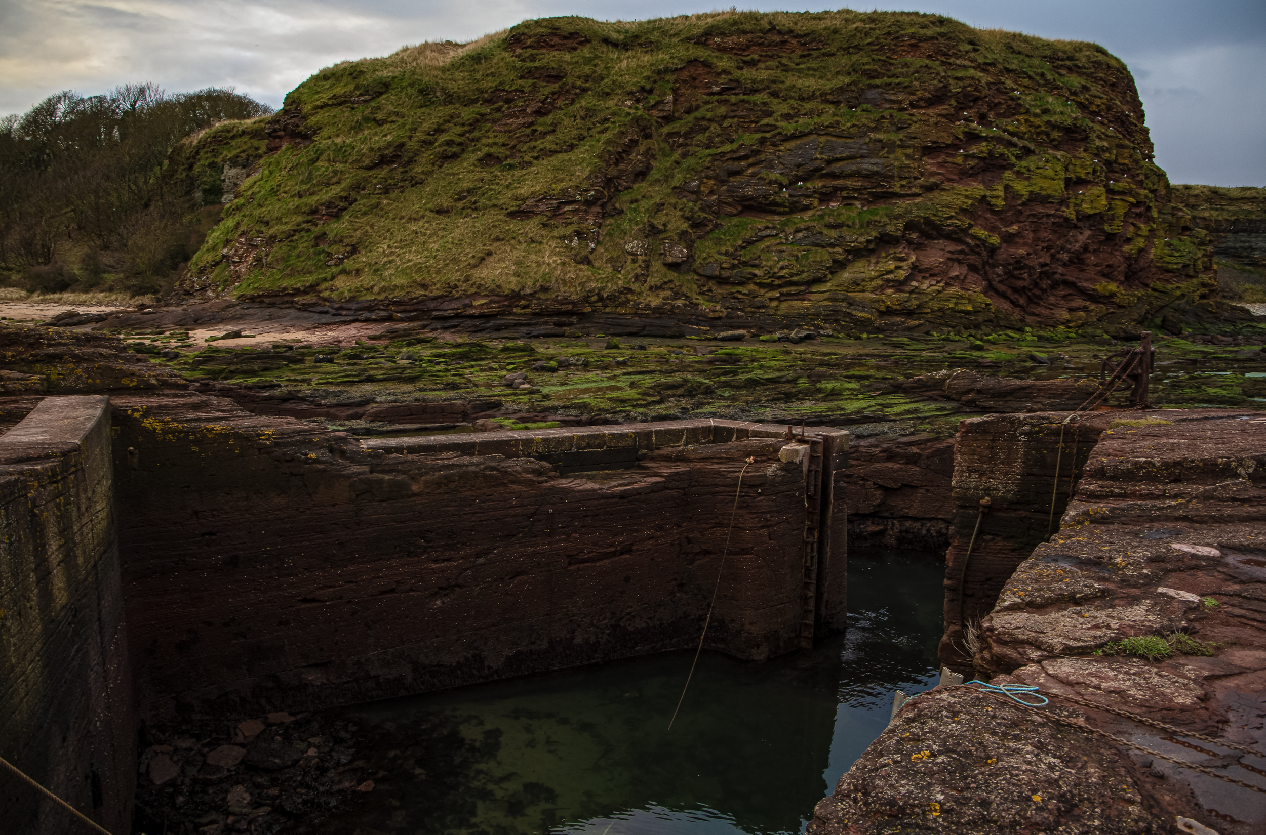 The Smallest Harbour.png