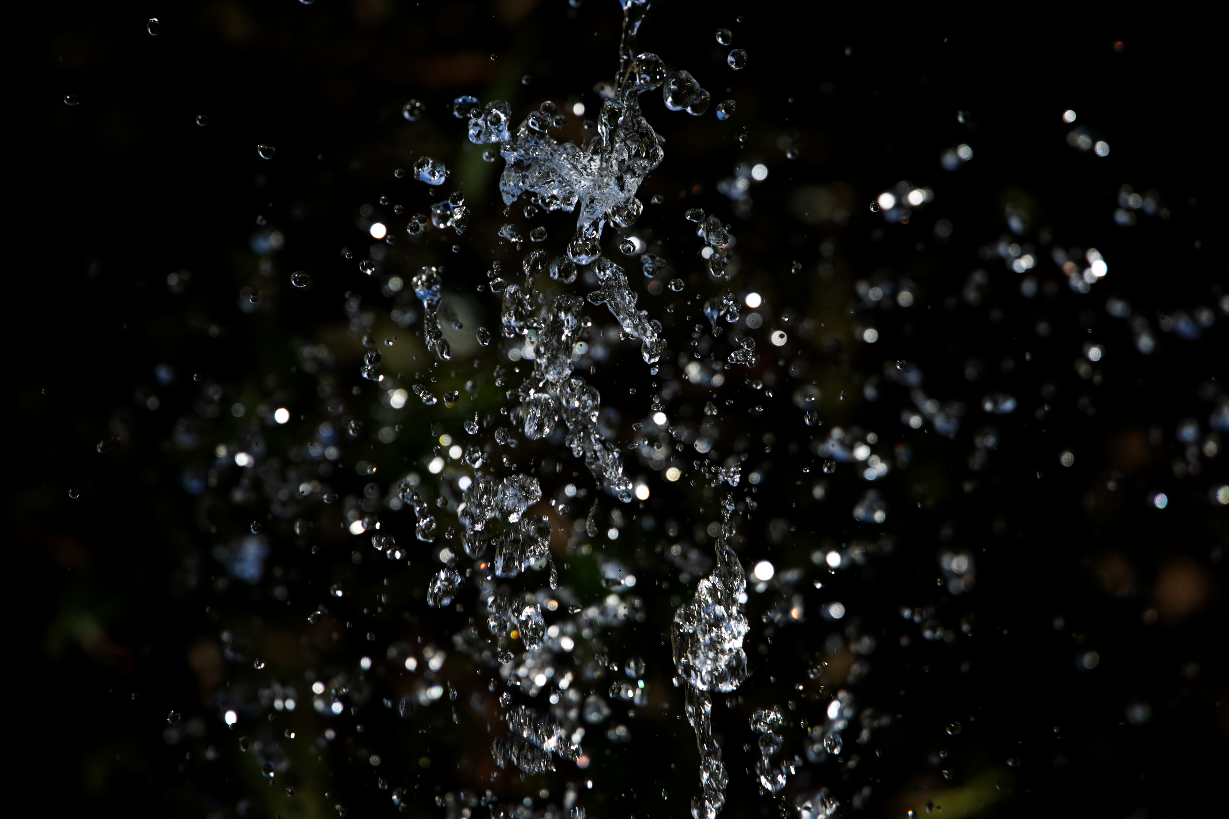 Timeless Fountain.png