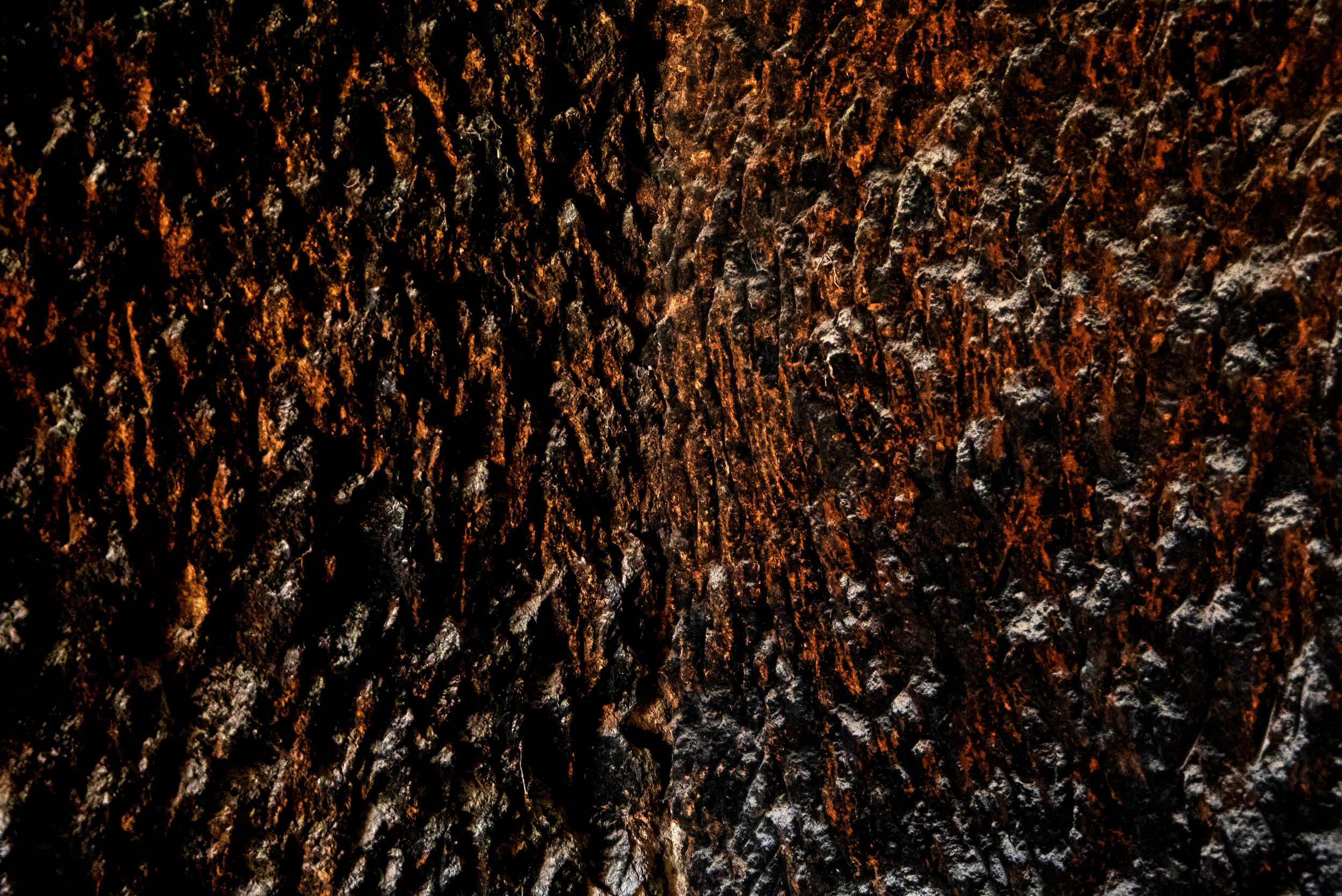 Oil and Flames.png