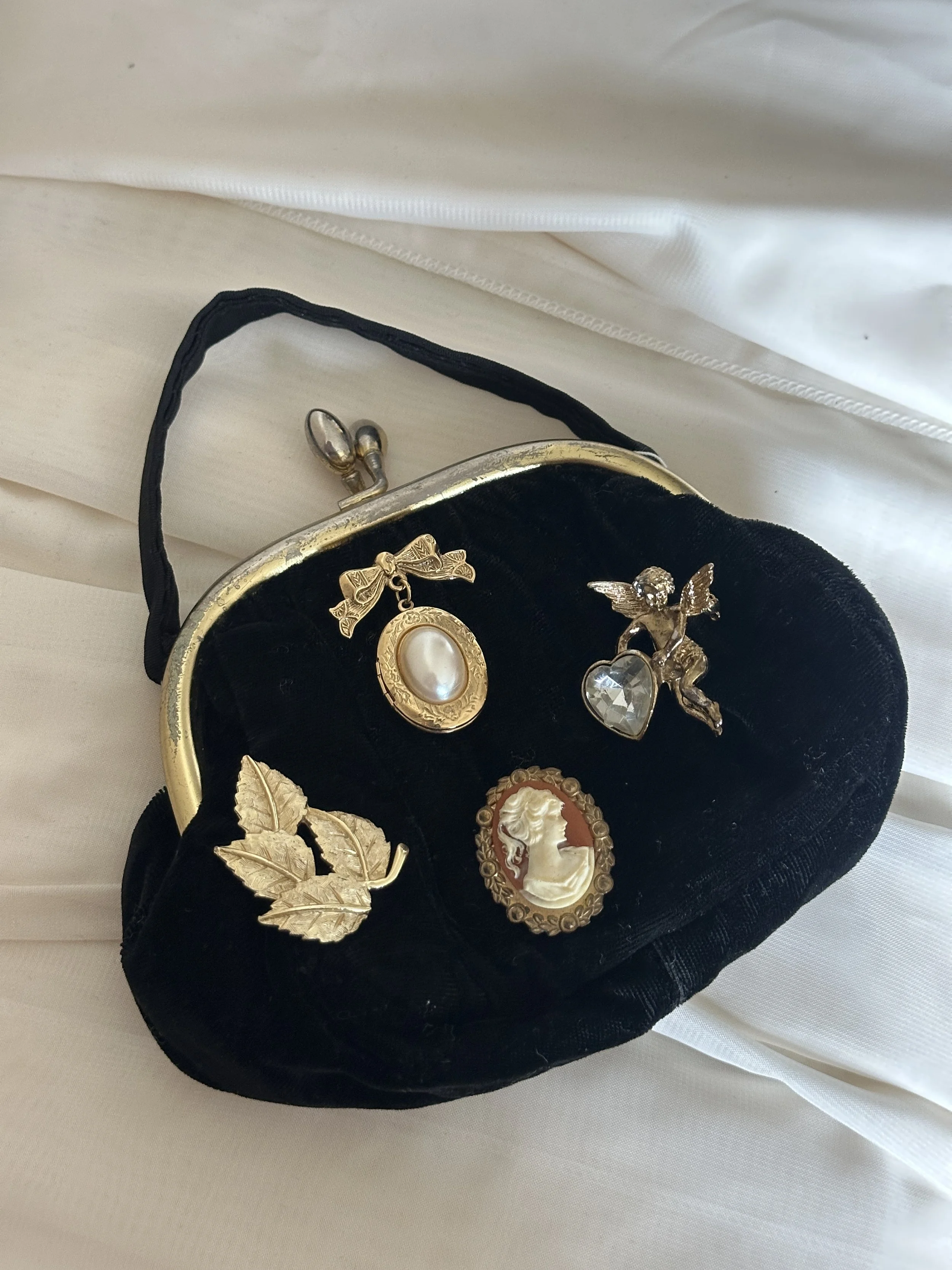 velvet bag w: brooch 3.JPG