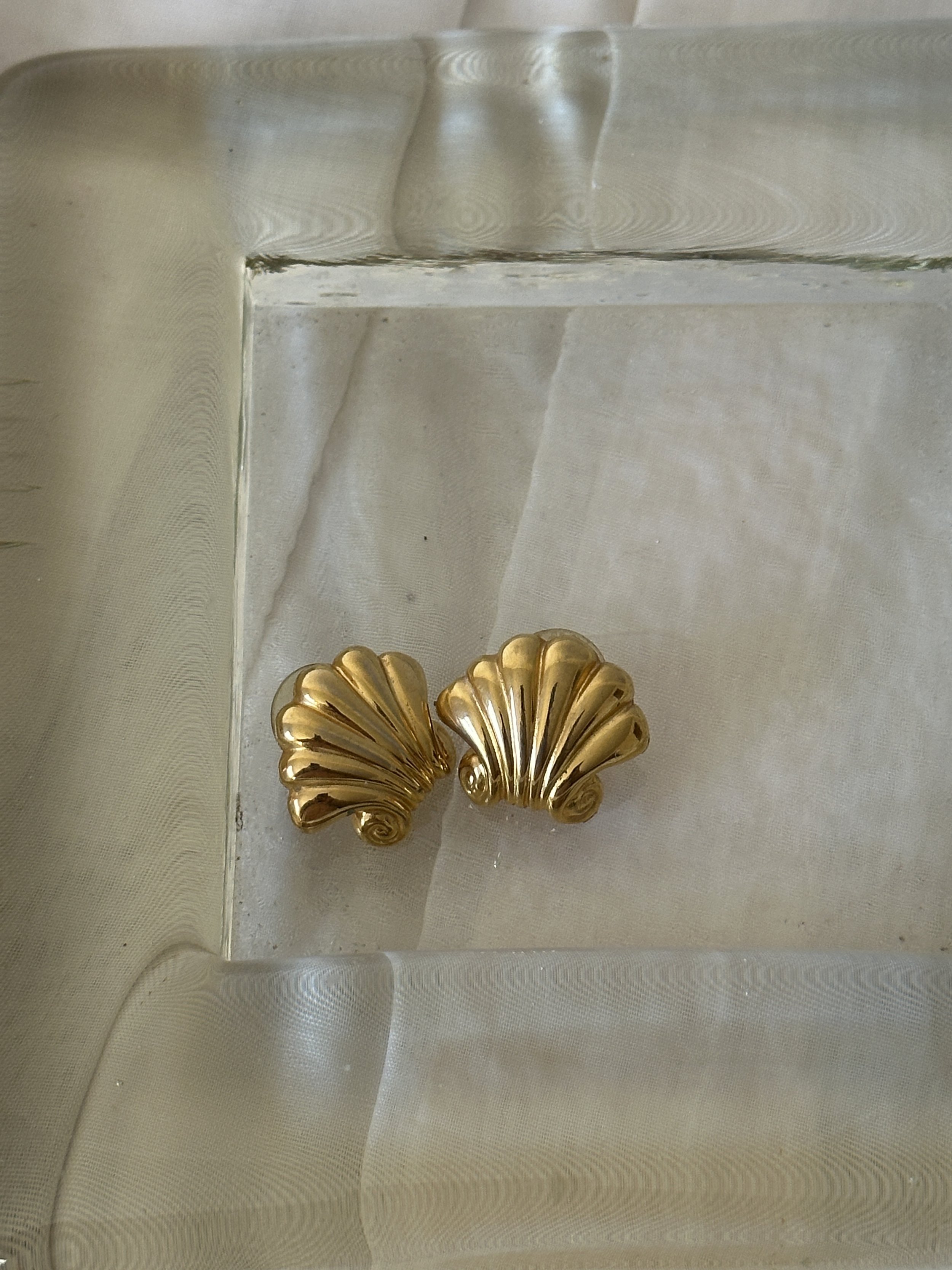 Seashore Shell Earrings