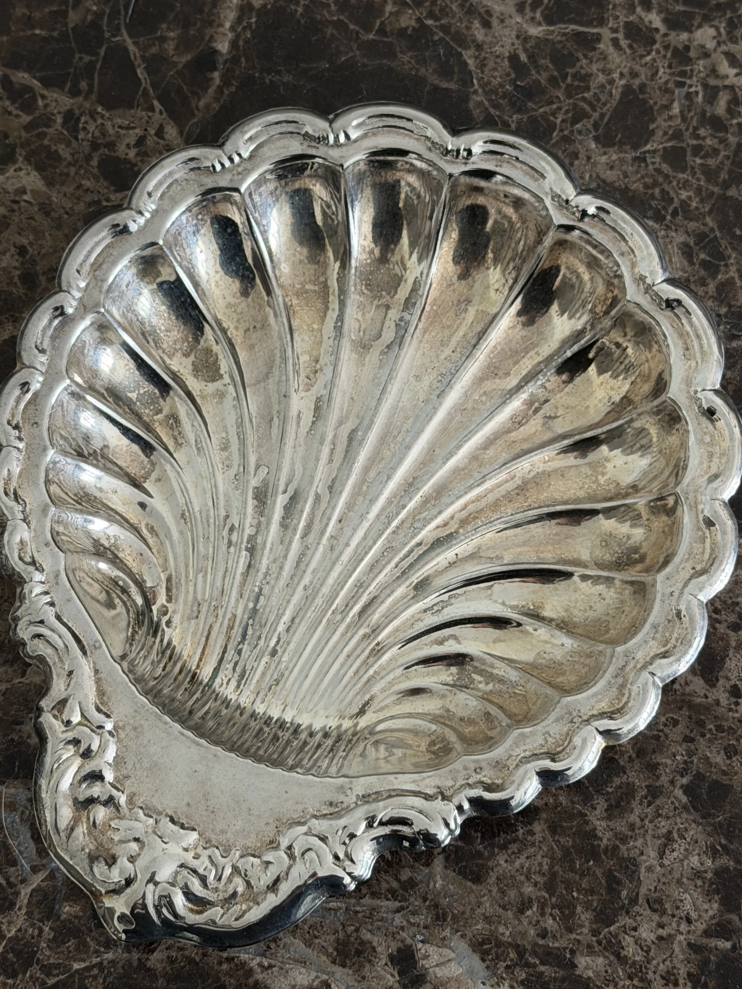 Shell Dish