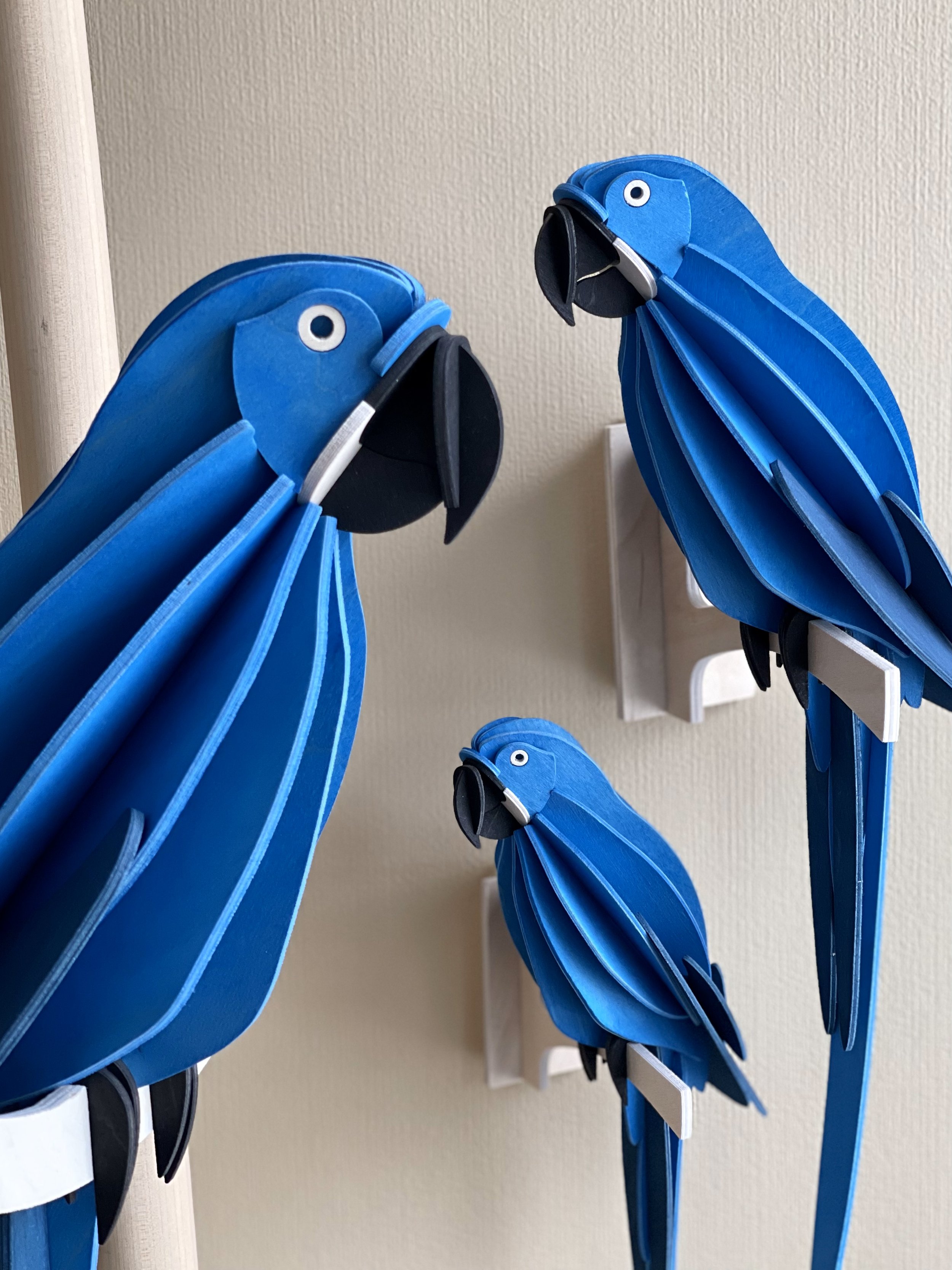 A Flock pf Lovi Parrot Blue - Hyacinth Macaw.jpg