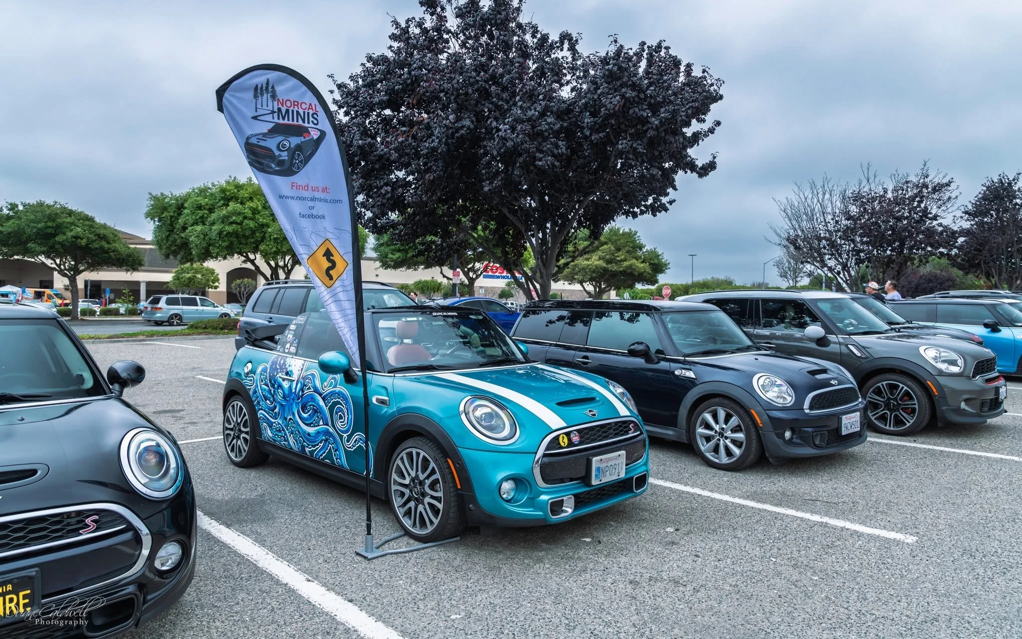 26-06 - monterey - minis-at-meetup-2.jpg