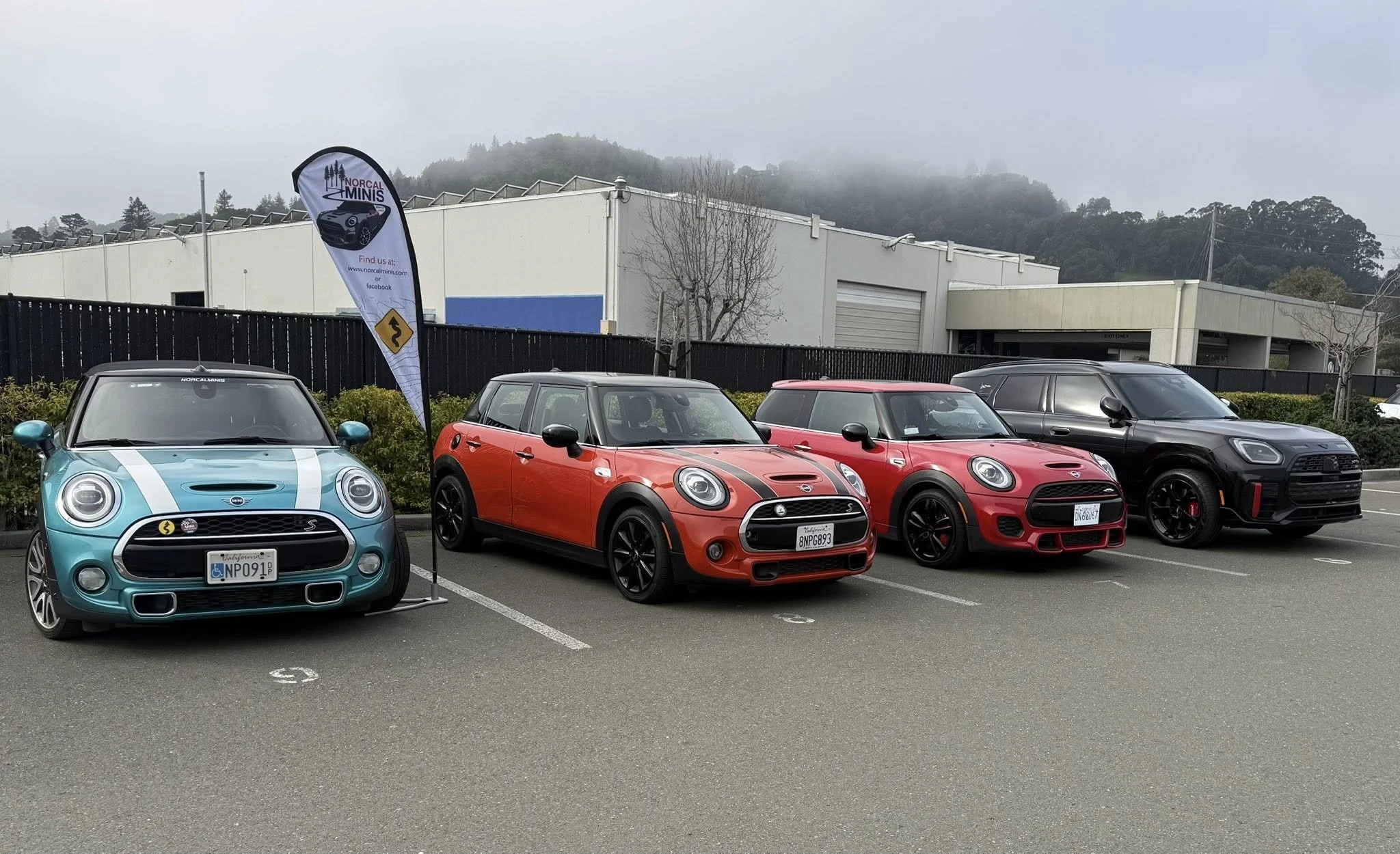 26-02 - stinson-beach - minis-at-mini-of-marin-10.jpg