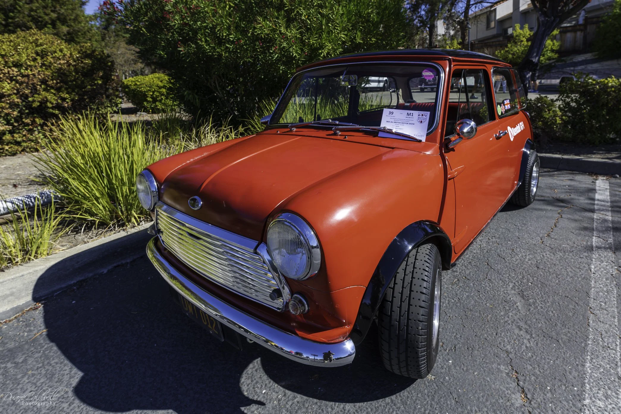 All British Motor Show Run MINIs_wm sm 2026-10-18-65.jpg