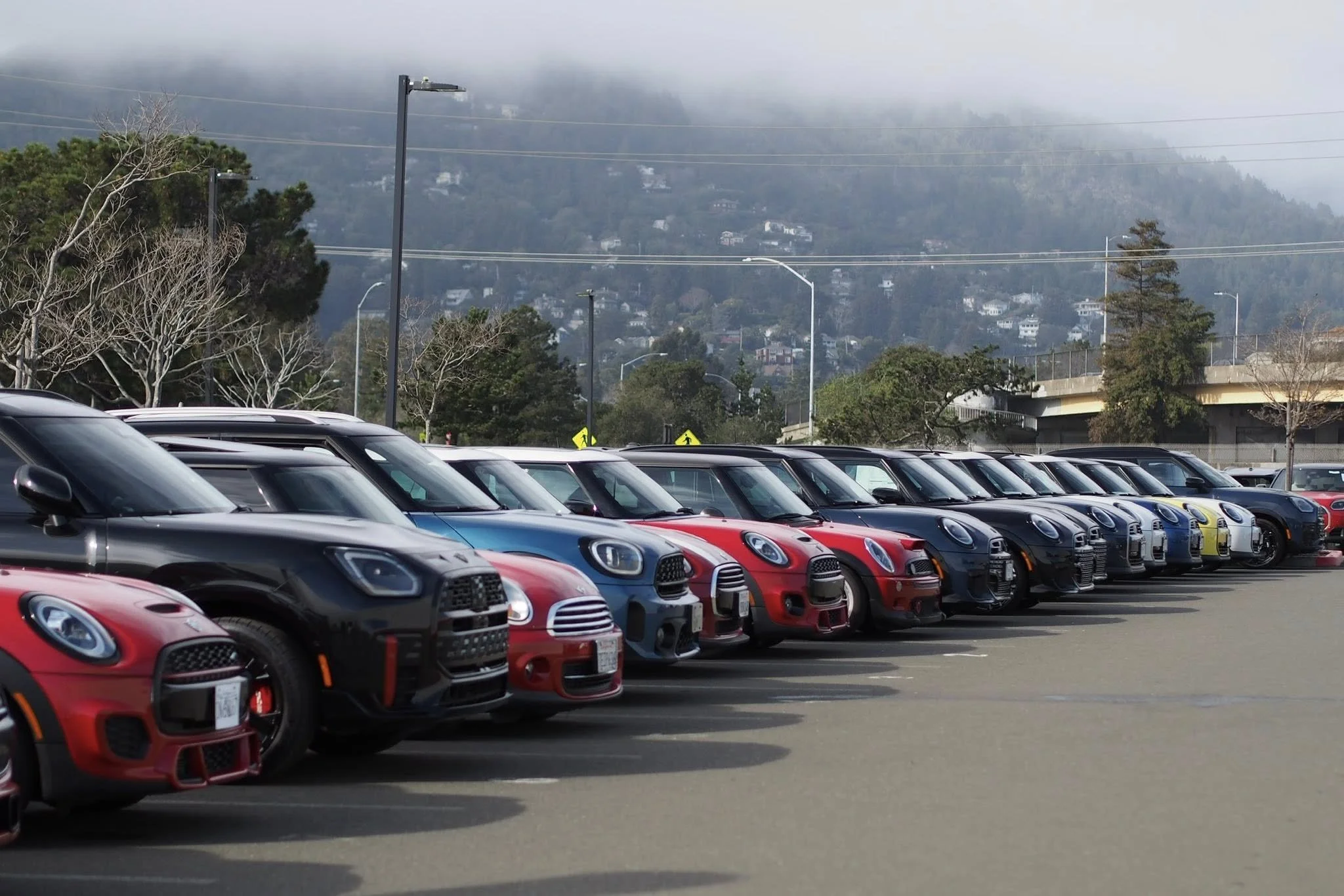 26-02 - stinson-beach - minis-at-mini-of-marin-3.jpg