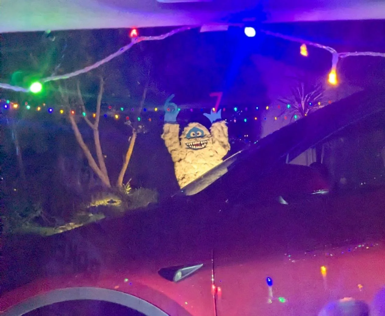 25-12 - xmas-lights - 6-7-yeti.jpg