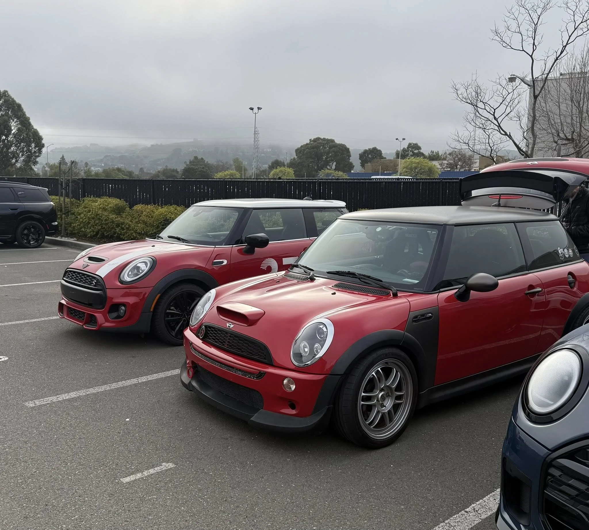 26-02 - stinson-beach - minis-at-mini-of-marin-13.jpg