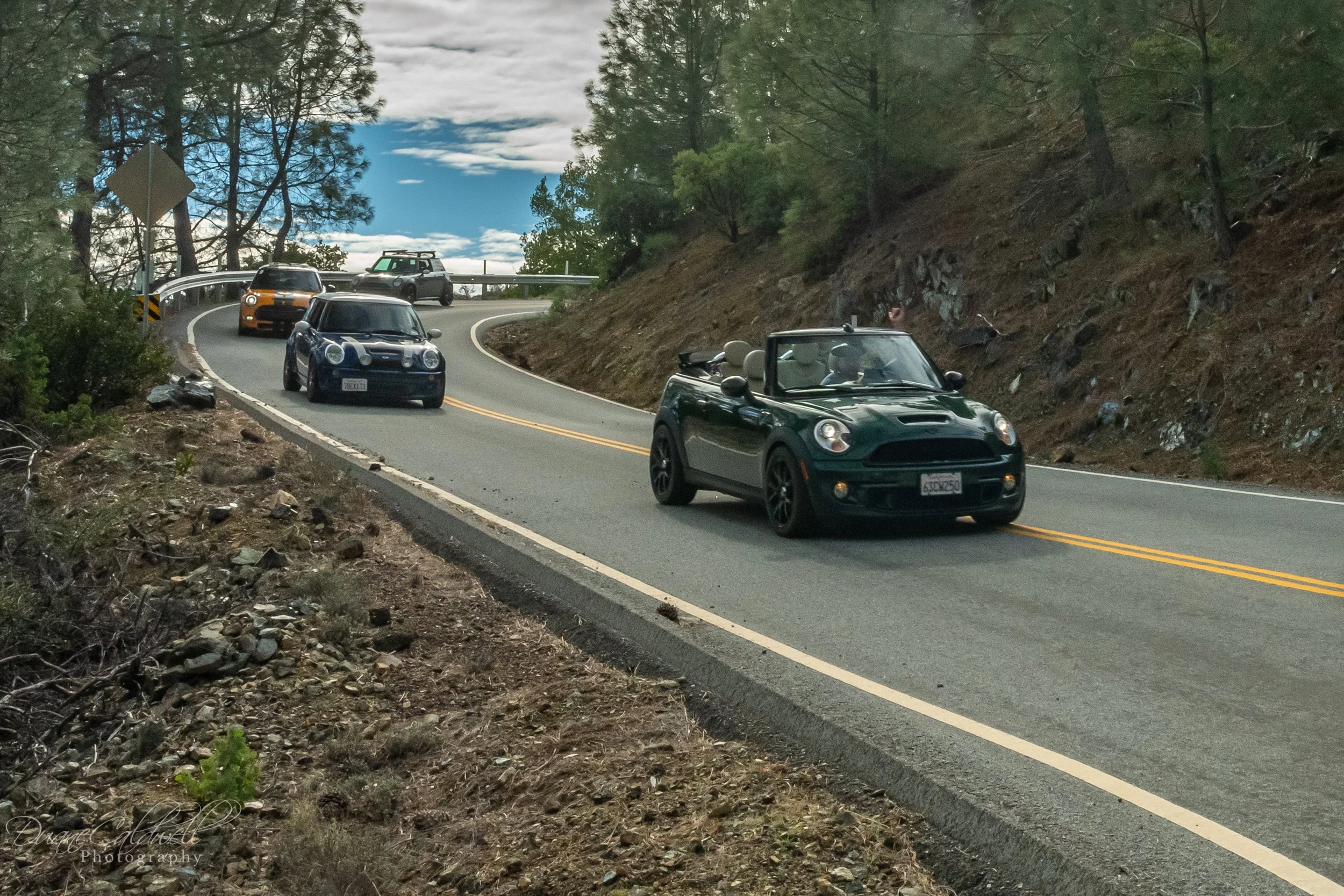 Santa Cruz Mountains + Annual Picnic