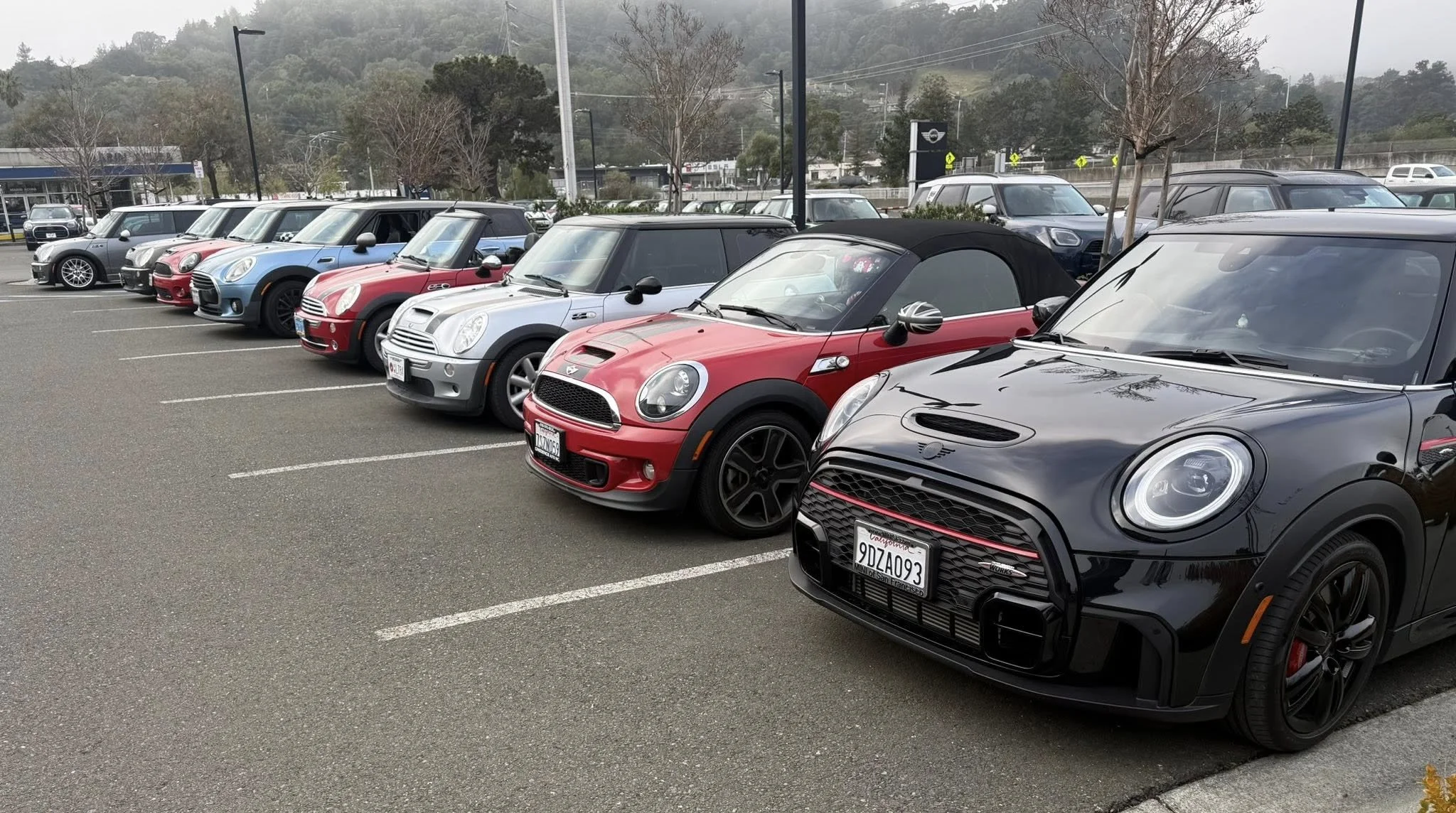 26-02 - stinson-beach - minis-at-mini-of-marin-12.jpg