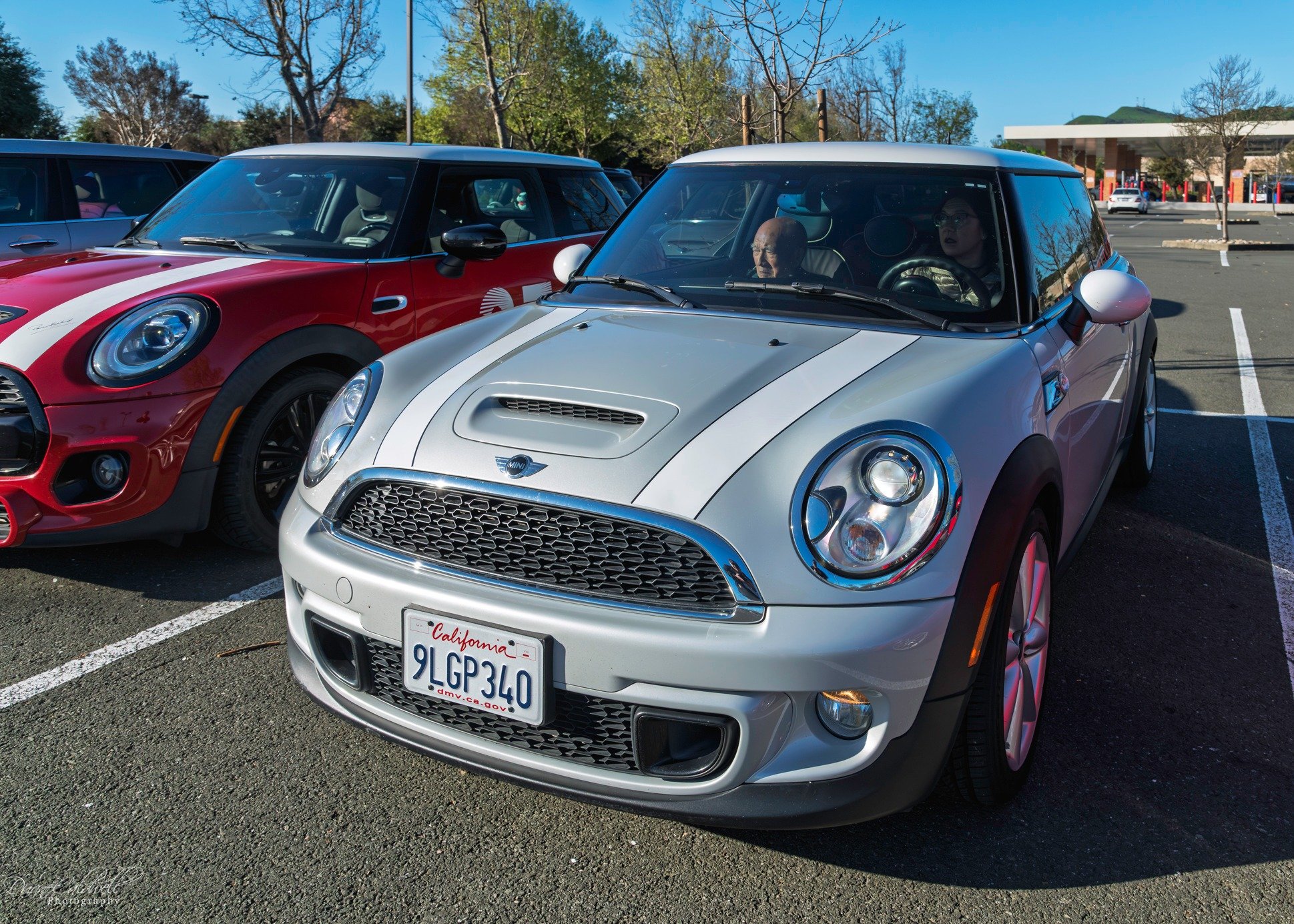 26-03 - jelly-belly - gray-white-r56.jpg