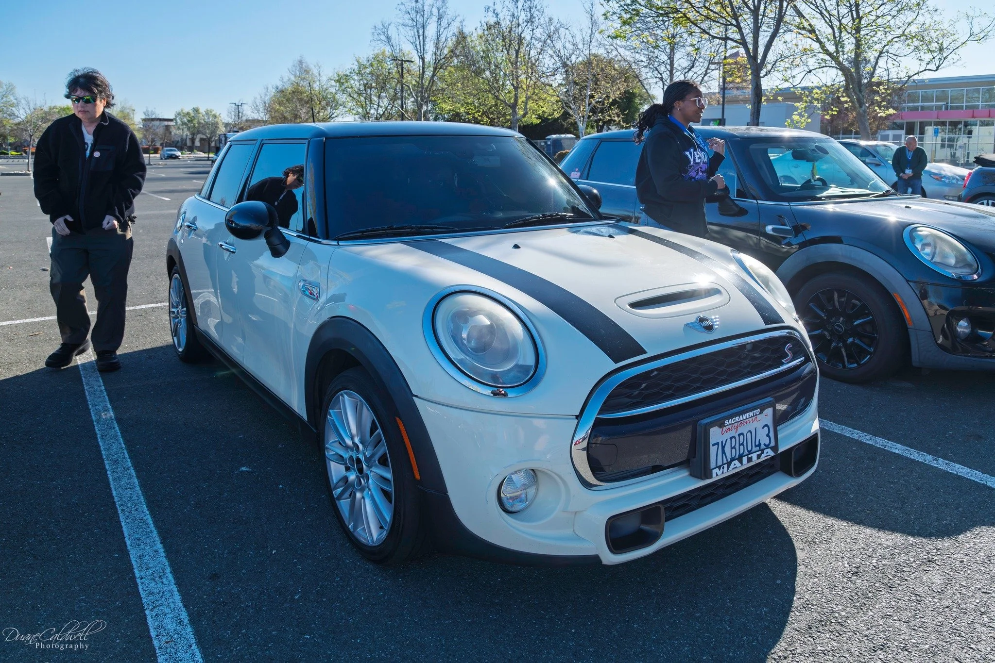 26-03 - jelly-belly - white-black-f56.jpg