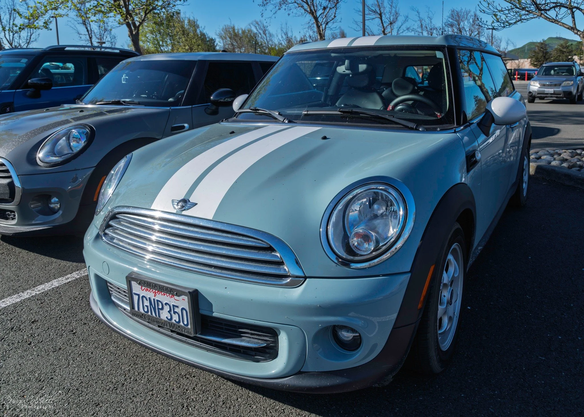 26-03 - jelly-belly - teal-r53.jpg