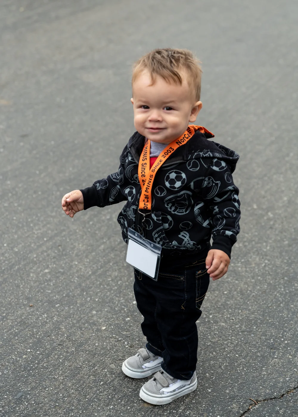 Members of all sizes.jpg