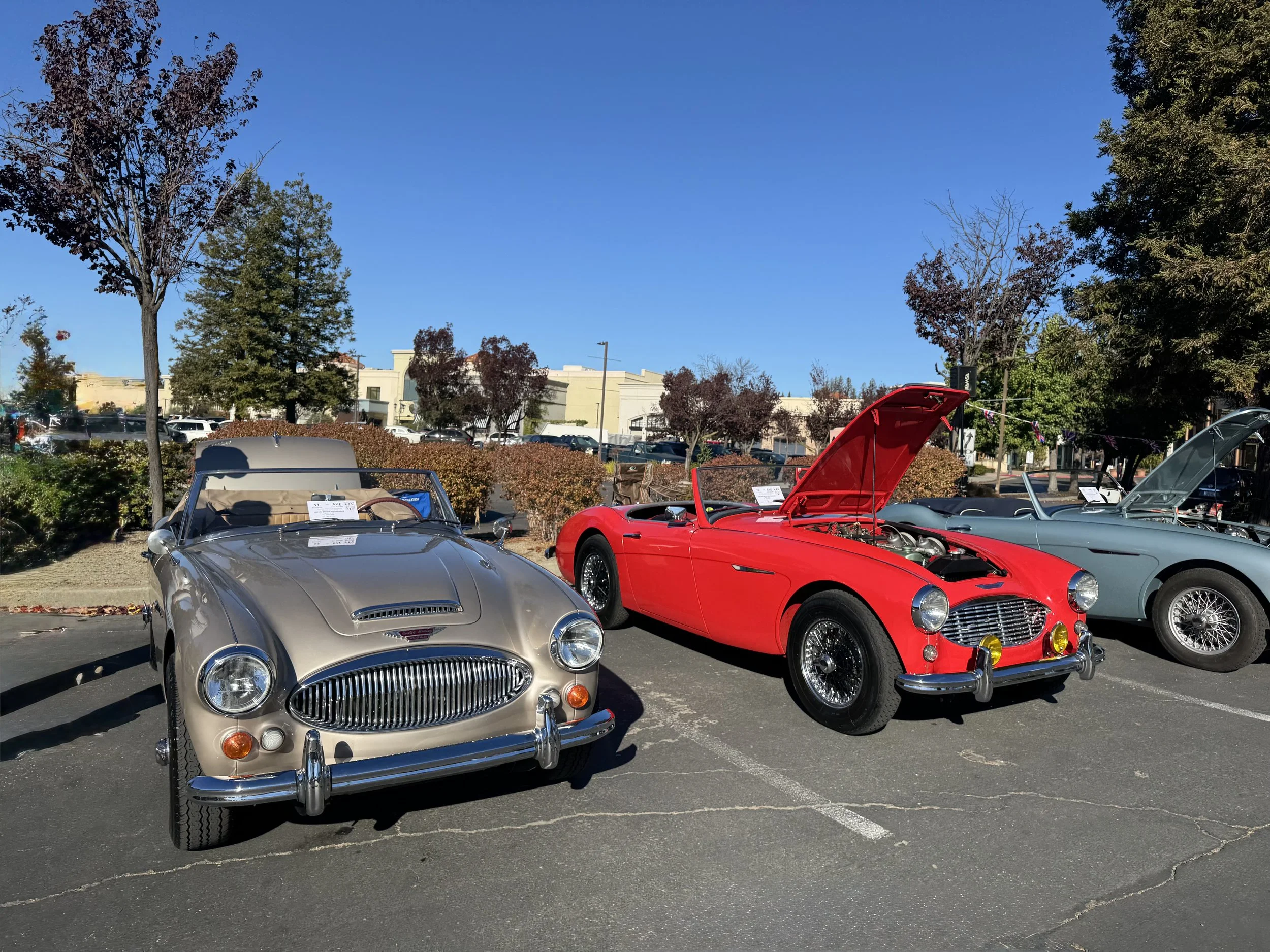 IMG_6493.jpeg