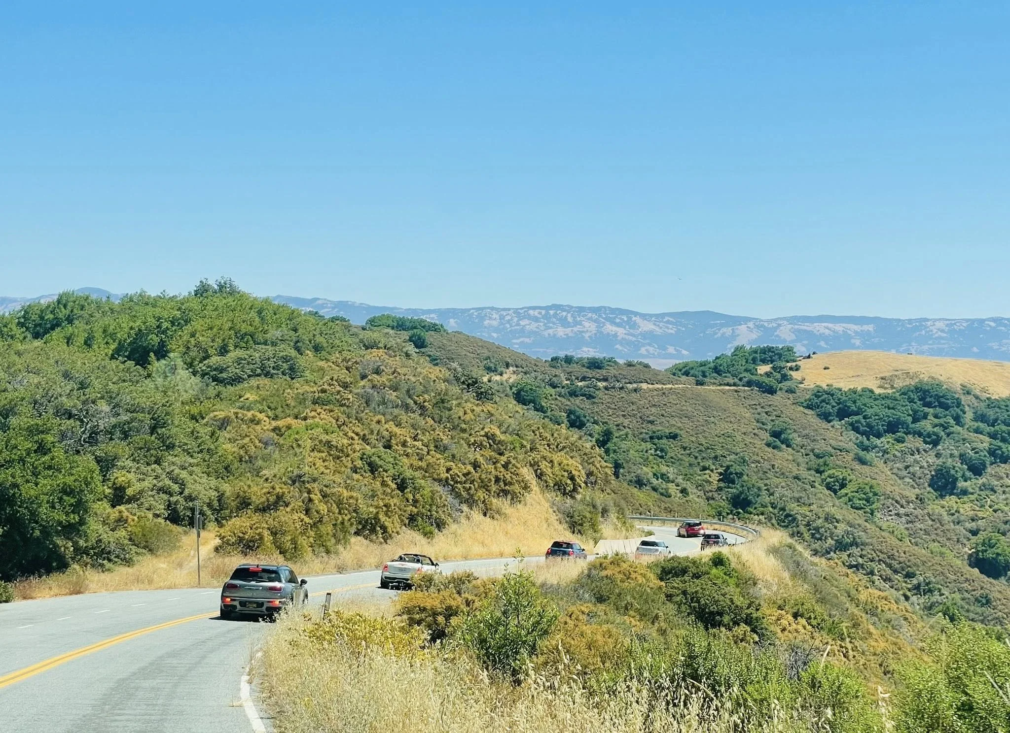Santa Cruz Mountains + Annual Picnic - July 20, 2025