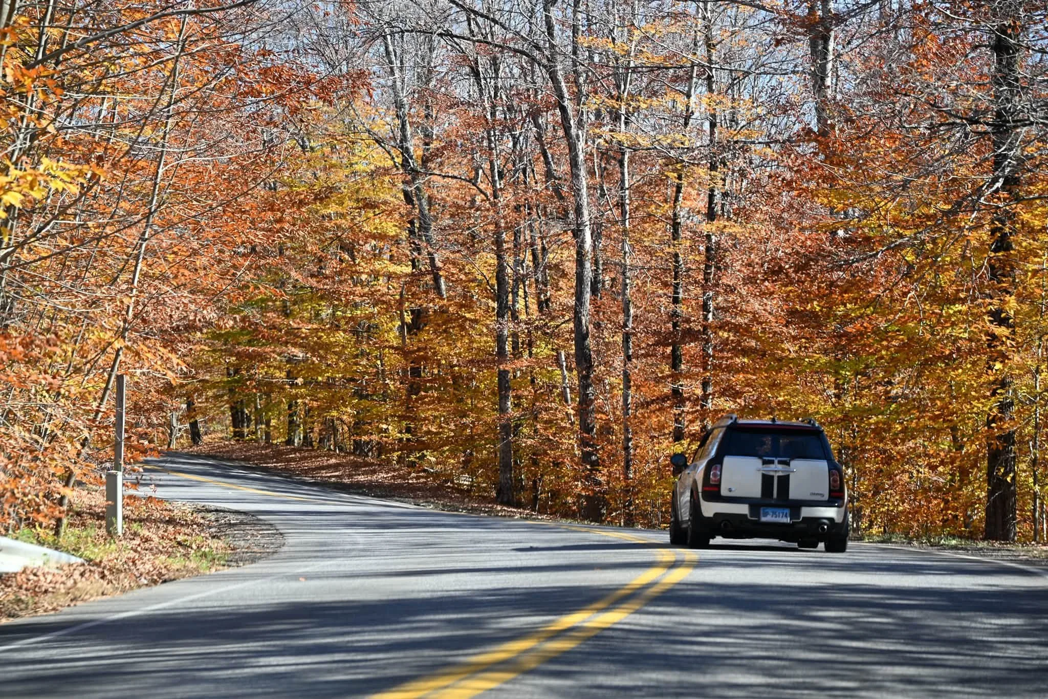 26-10 - mtts-ny - clubman-in-the-fall-colors.jpg