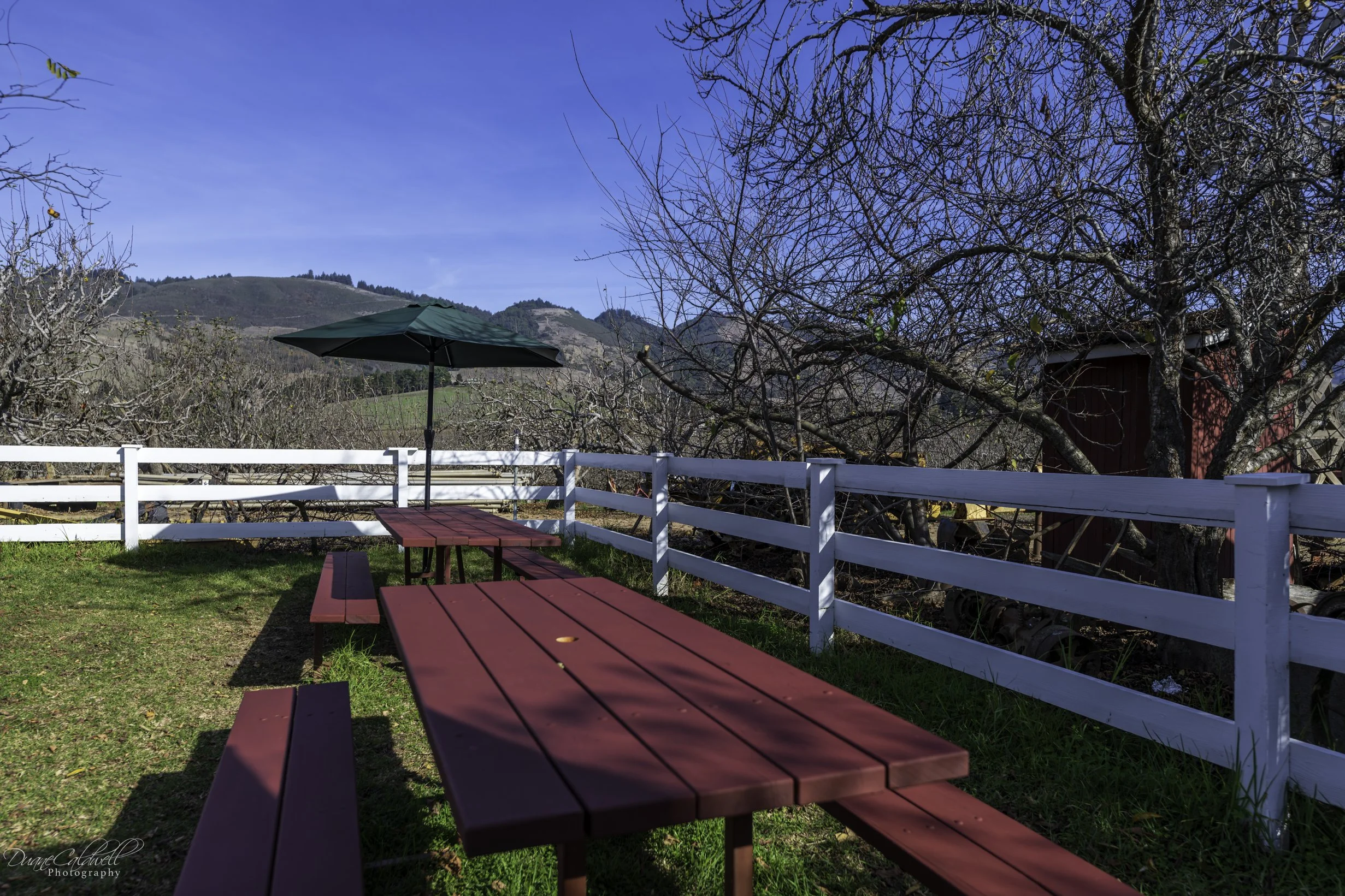 25-07 - NCM Mt Umunhum - Gizdich Ranch-9.jpg