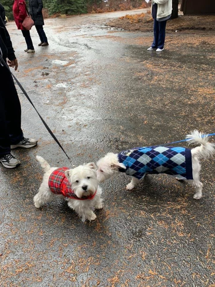 Moose and Dirk 2021-11.jpeg