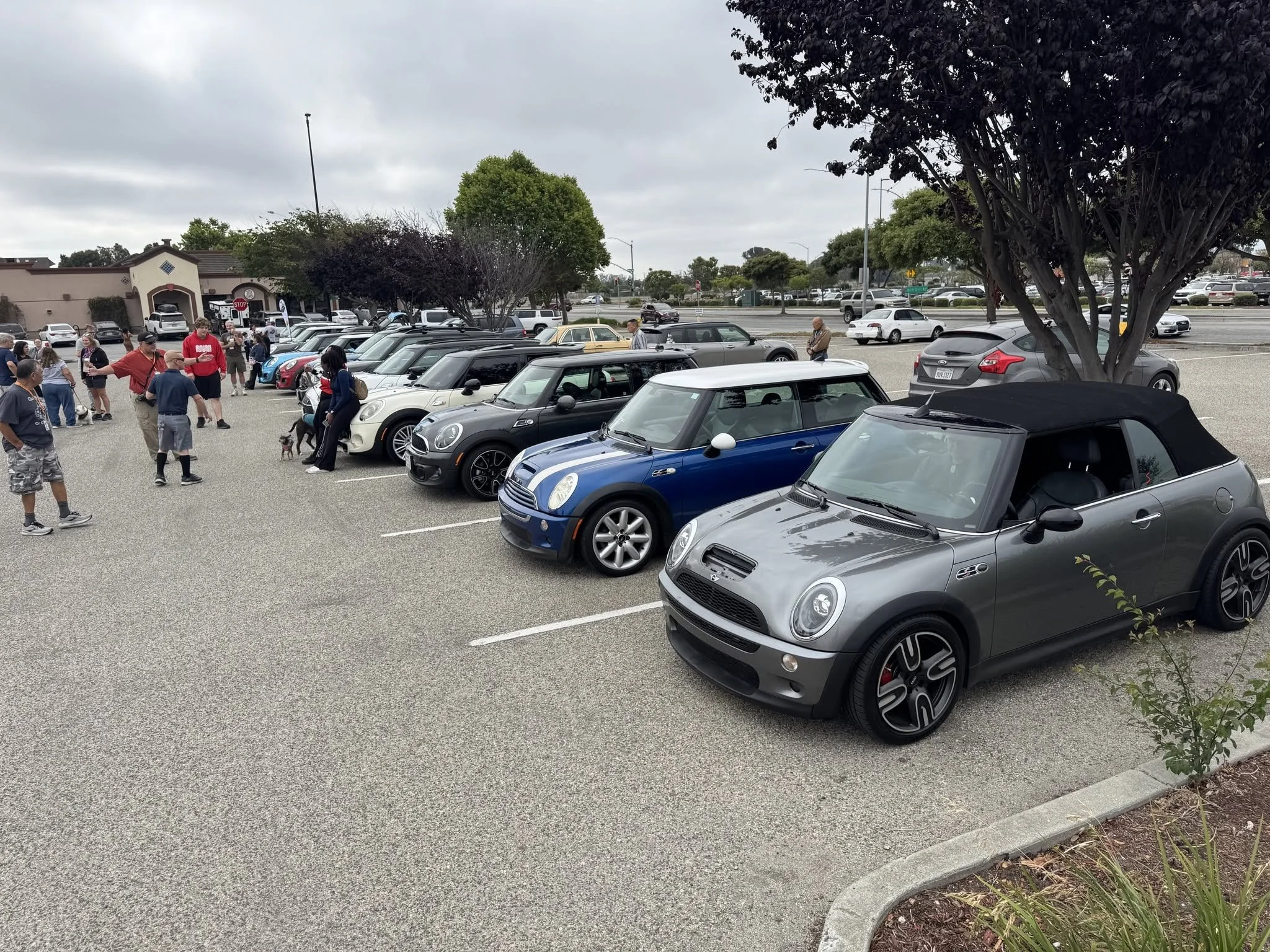 26-06 - monterey - minis-at-meetup-4.jpg