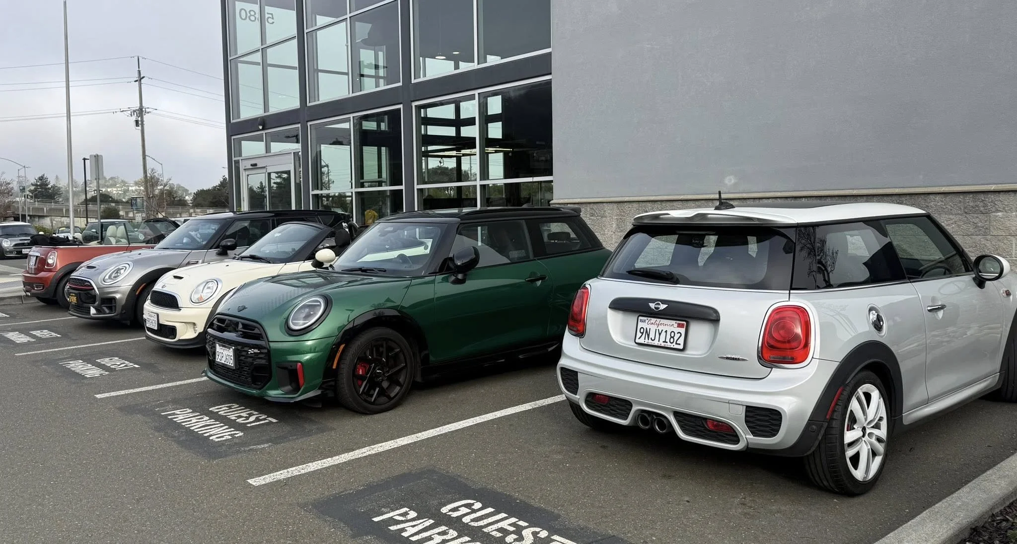 26-02 - stinson-beach - minis-at-mini-of-marin-11.jpg