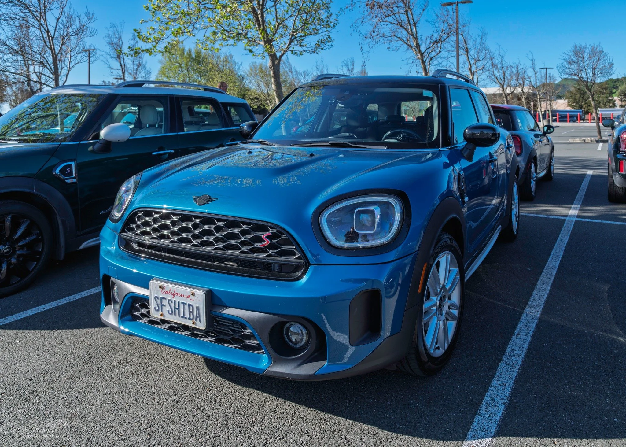 26-03 - jelly-belly - blue-r60.jpg