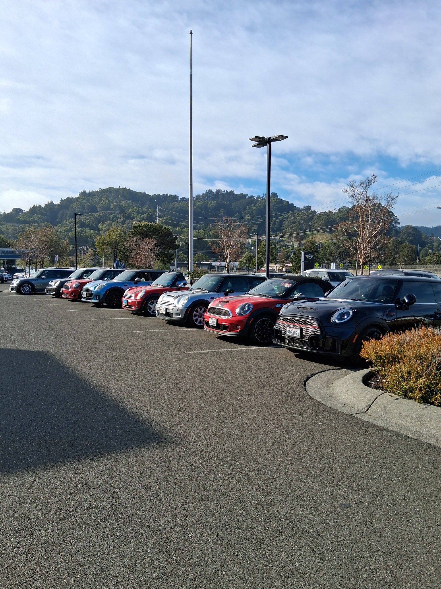 26-02 - stinson-beach - minis-at-mini-of-marin-7.jpg