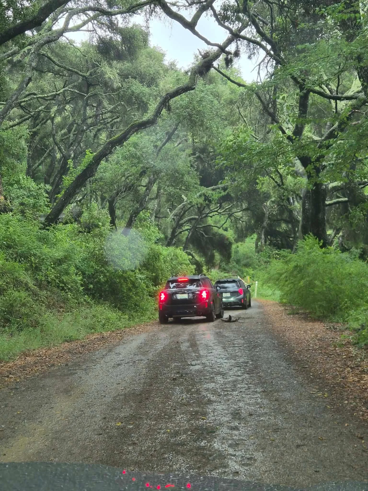 26-04 - santa-barbera - minis-on-backroads-1.JPEG