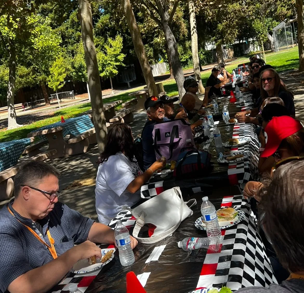 26-09 - mt-hamilton - members-at-picnic.jpg