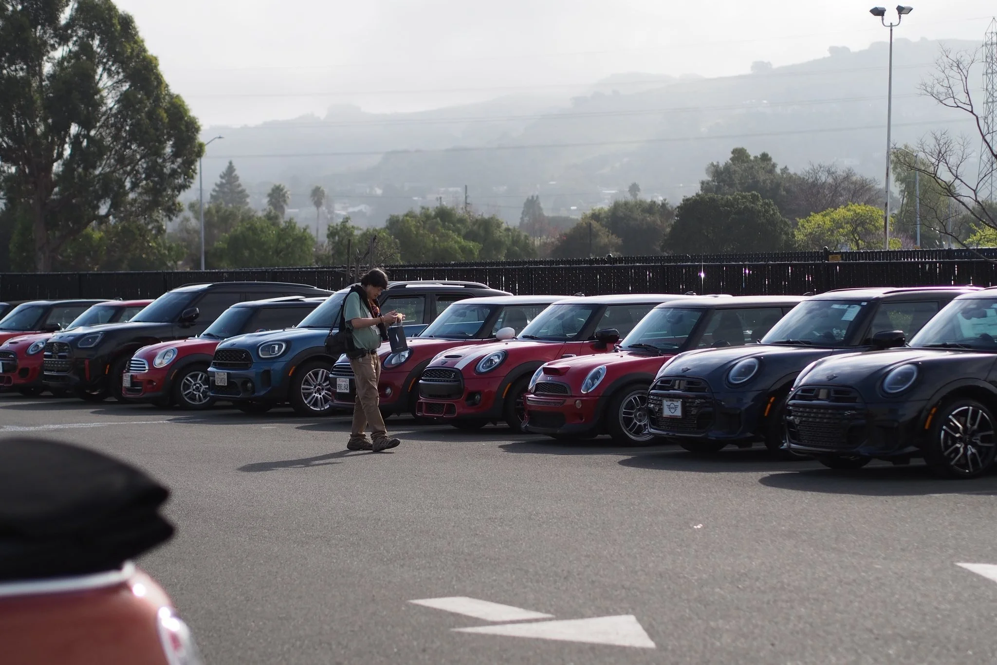 26-02 - stinson-beach - minis-at-mini-of-marin-4.jpg