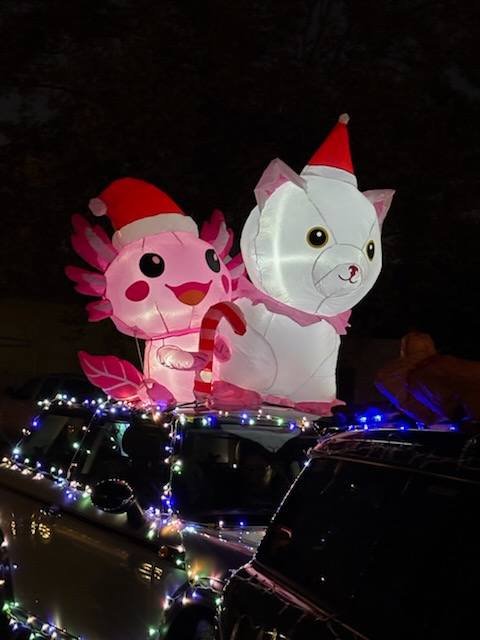 25-12 - paso-robles - mini-decorations-1.jpg