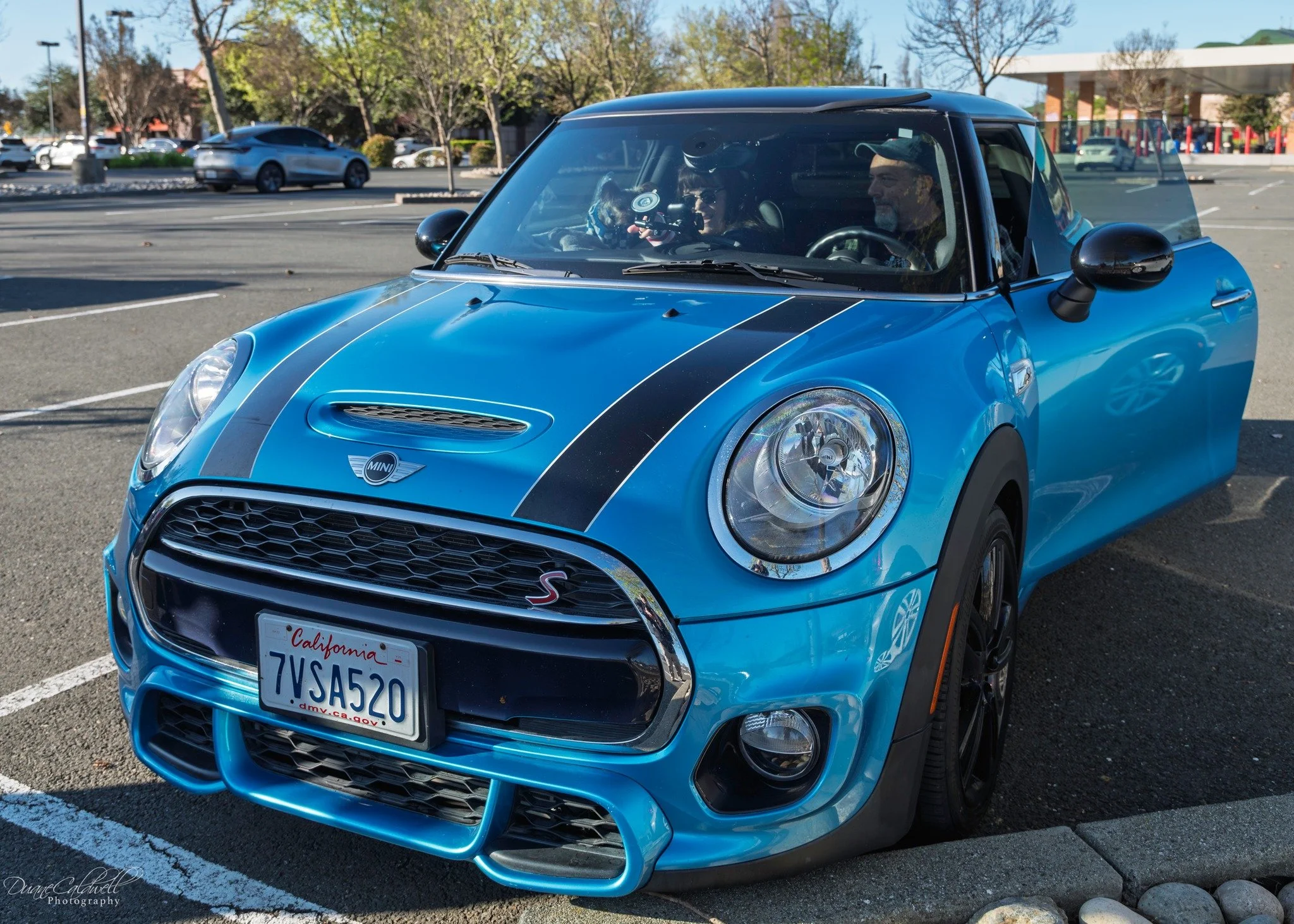 26-03 - jelly-belly - light-blue-black-f56.jpg