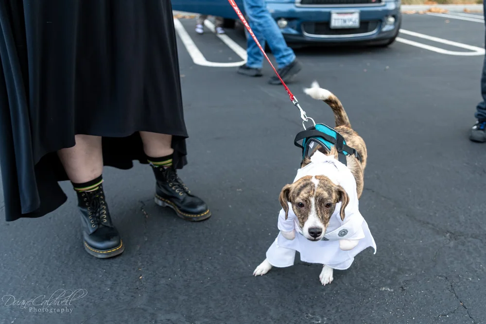 puppy 1 2021-10.jpeg