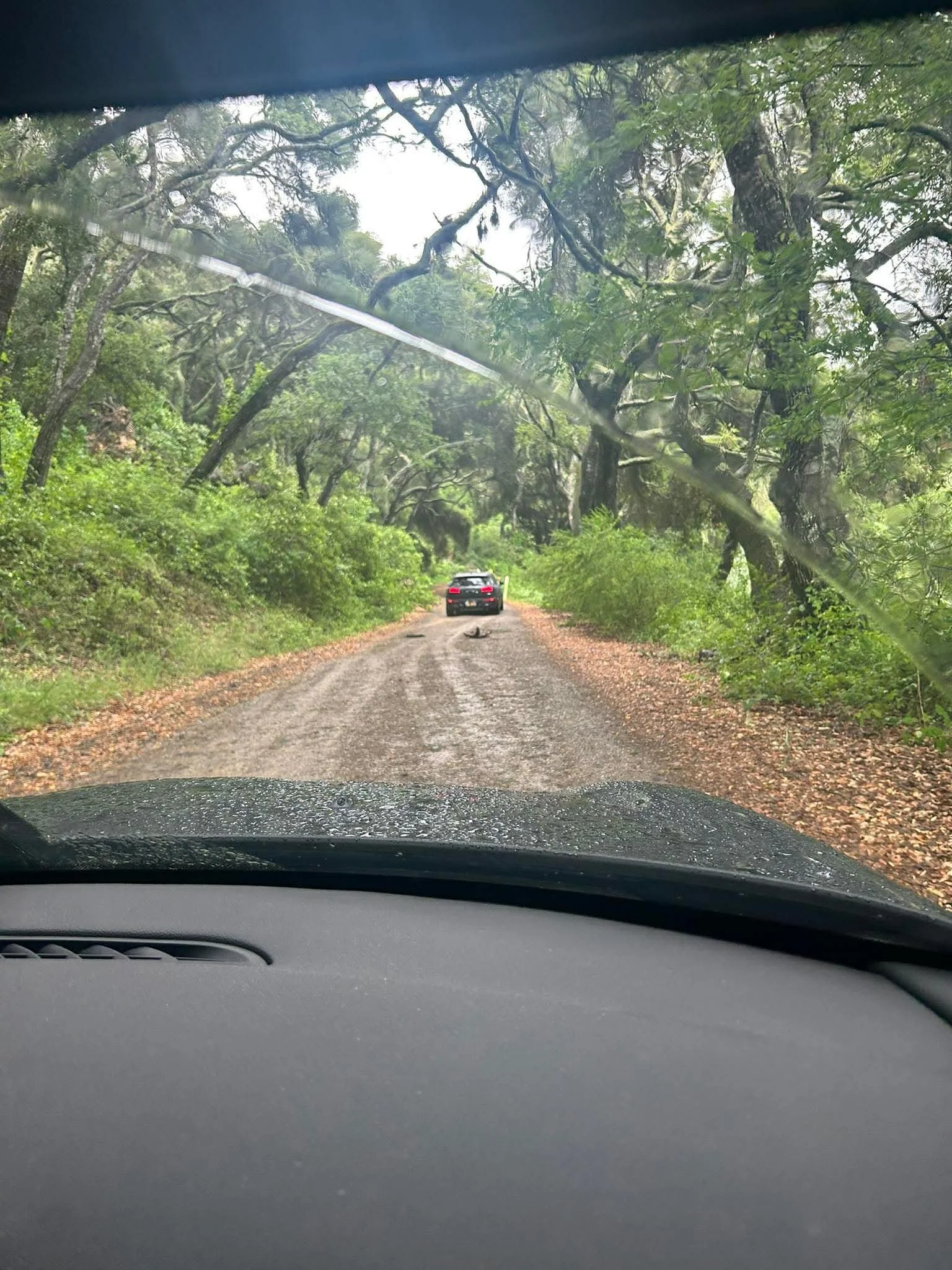 26-04 - santa-barbera - minis-on-backroads.JPEG