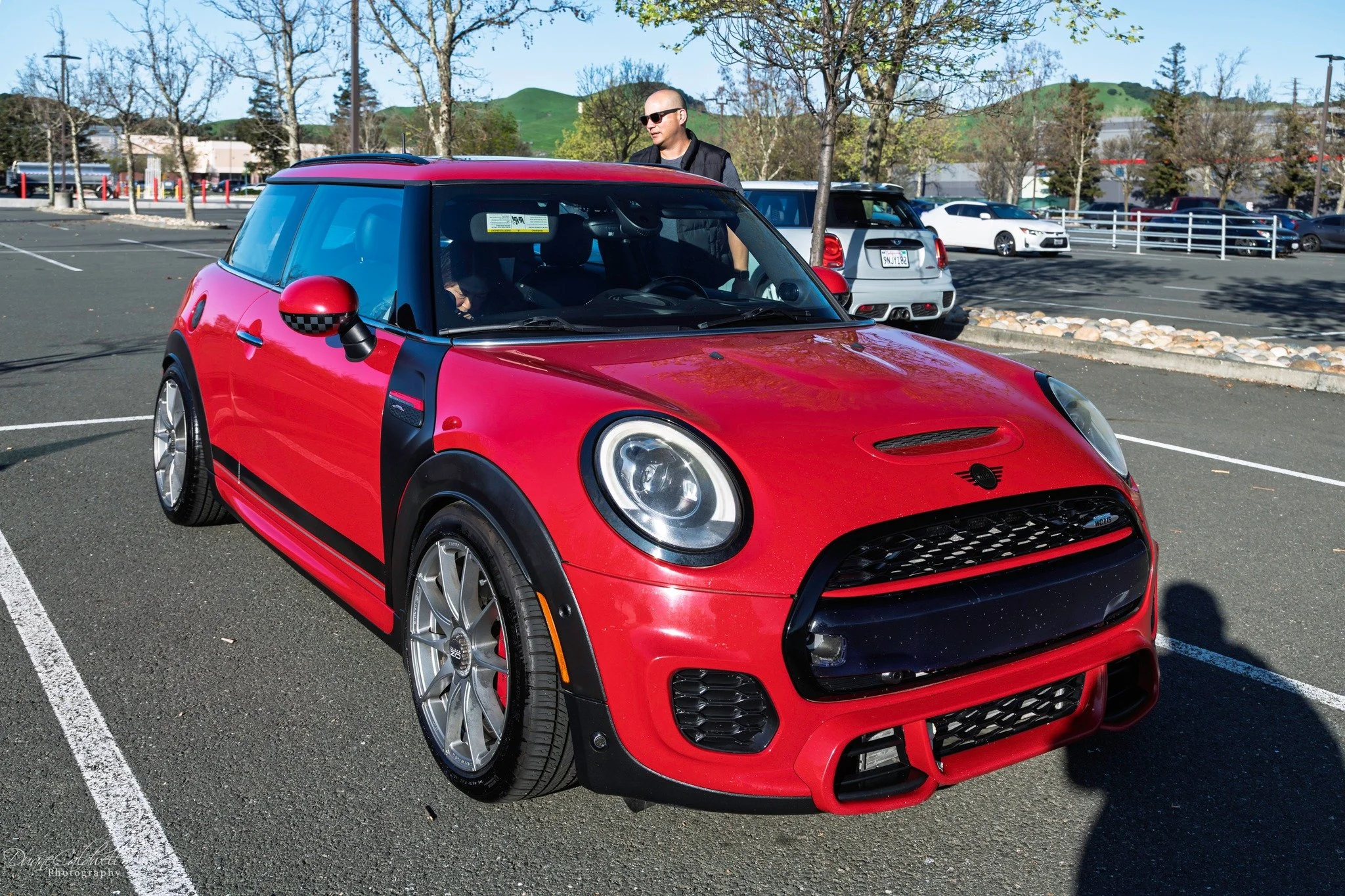 26-03 - jelly-belly - red-f56.jpg