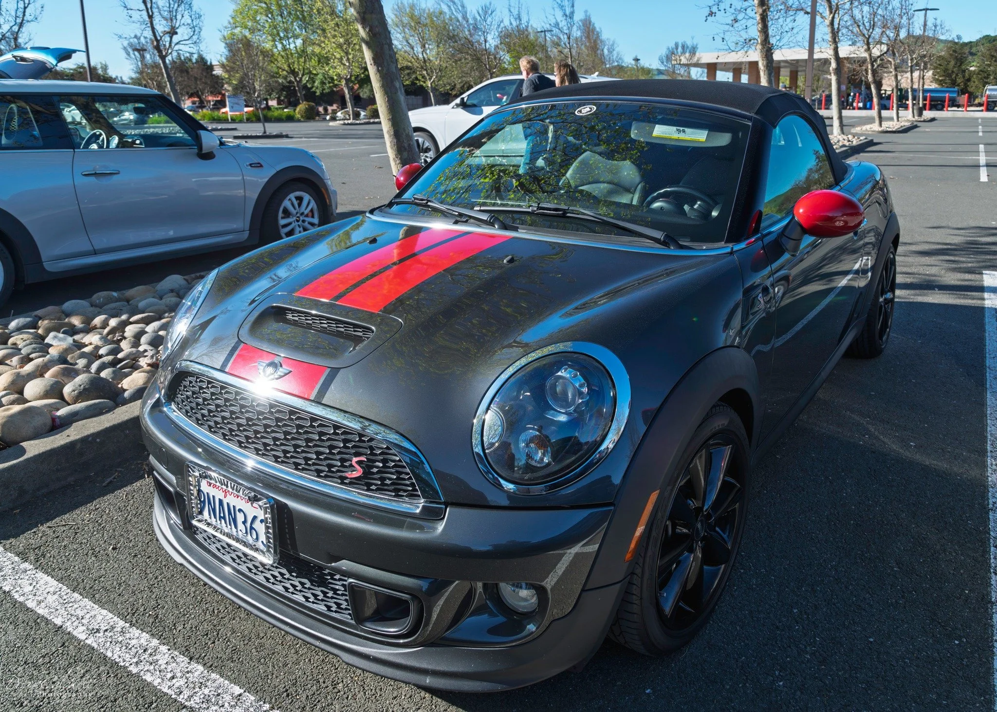 26-03 - jelly-belly - black-r57.jpg