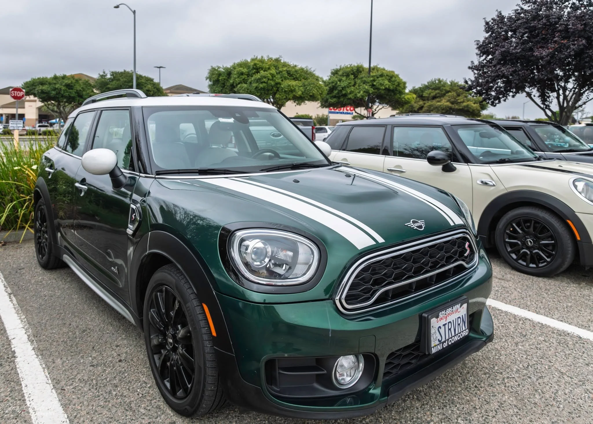 26-06 - monterey - green-f60.jpg