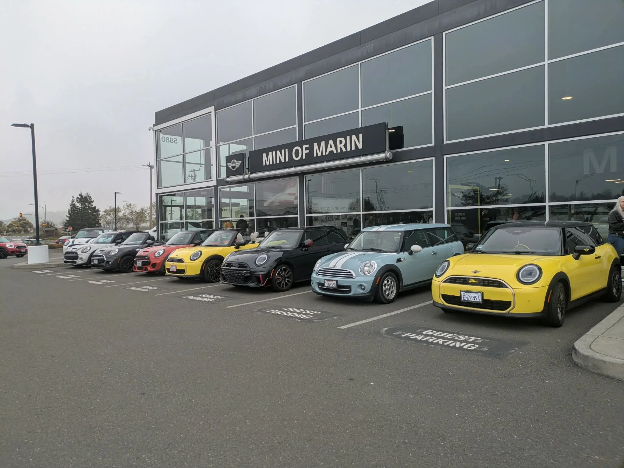 26-02 - stinson-beach - minis-at-mini-of-marin.jpg