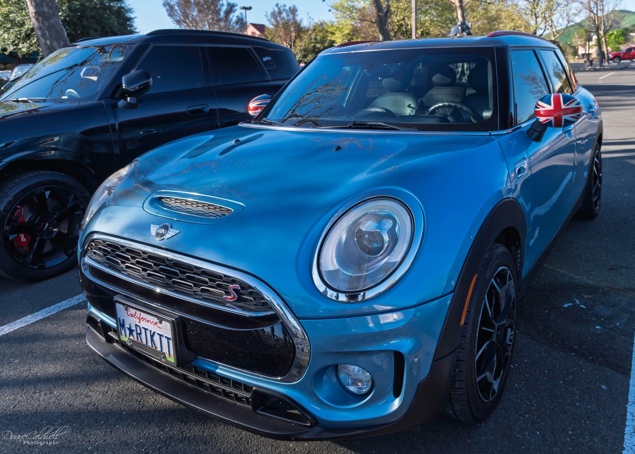 26-03 - jelly-belly - light-blue-f54.jpg
