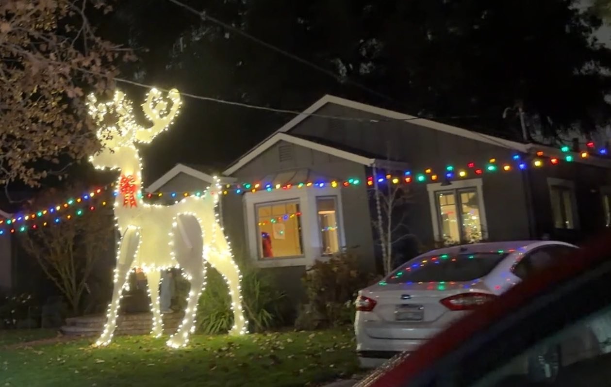 25-12 - xmas-lights - giant-reindeer.jpg